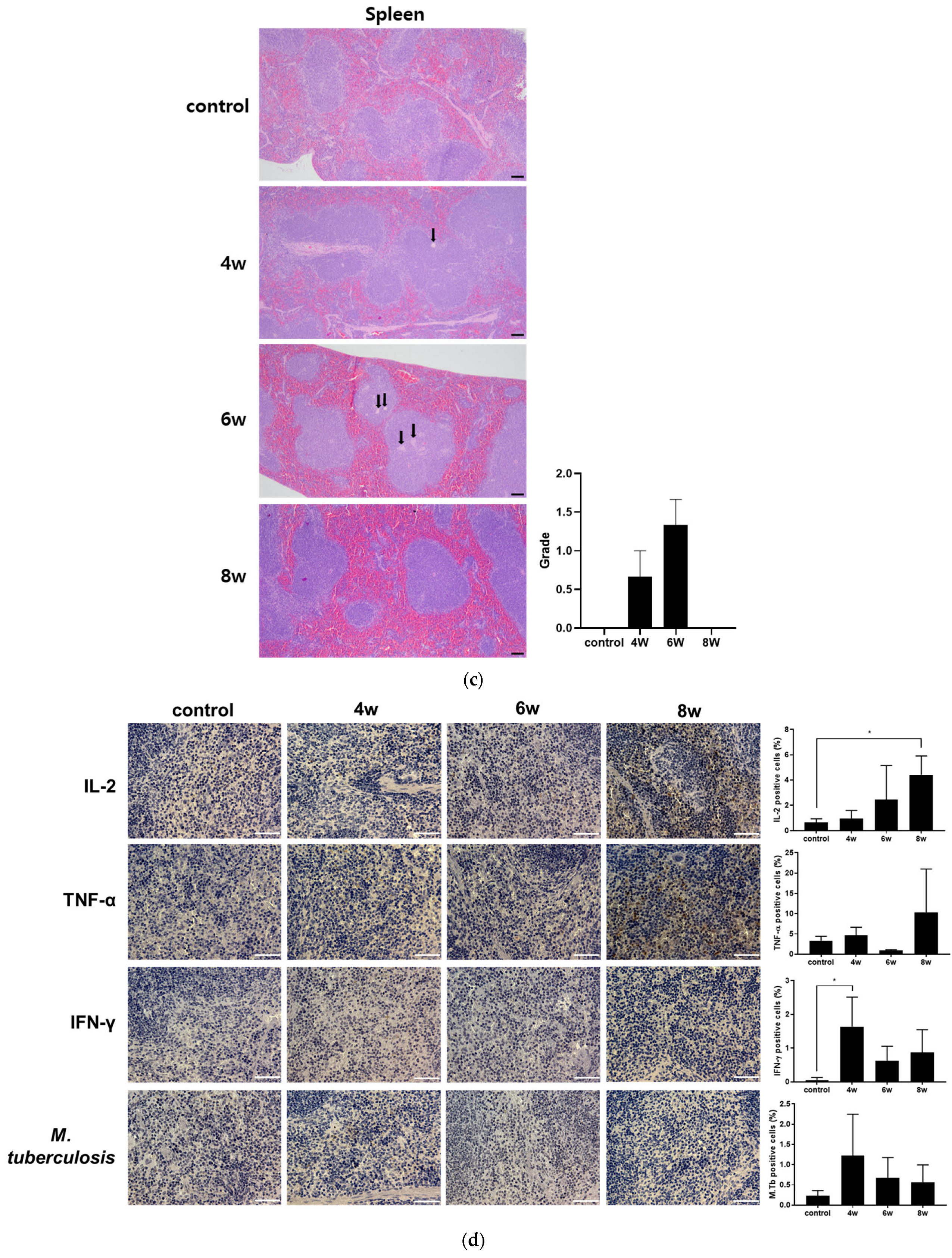 Pathogens 15 00392 g004b Pathogens 15 00392 g004b