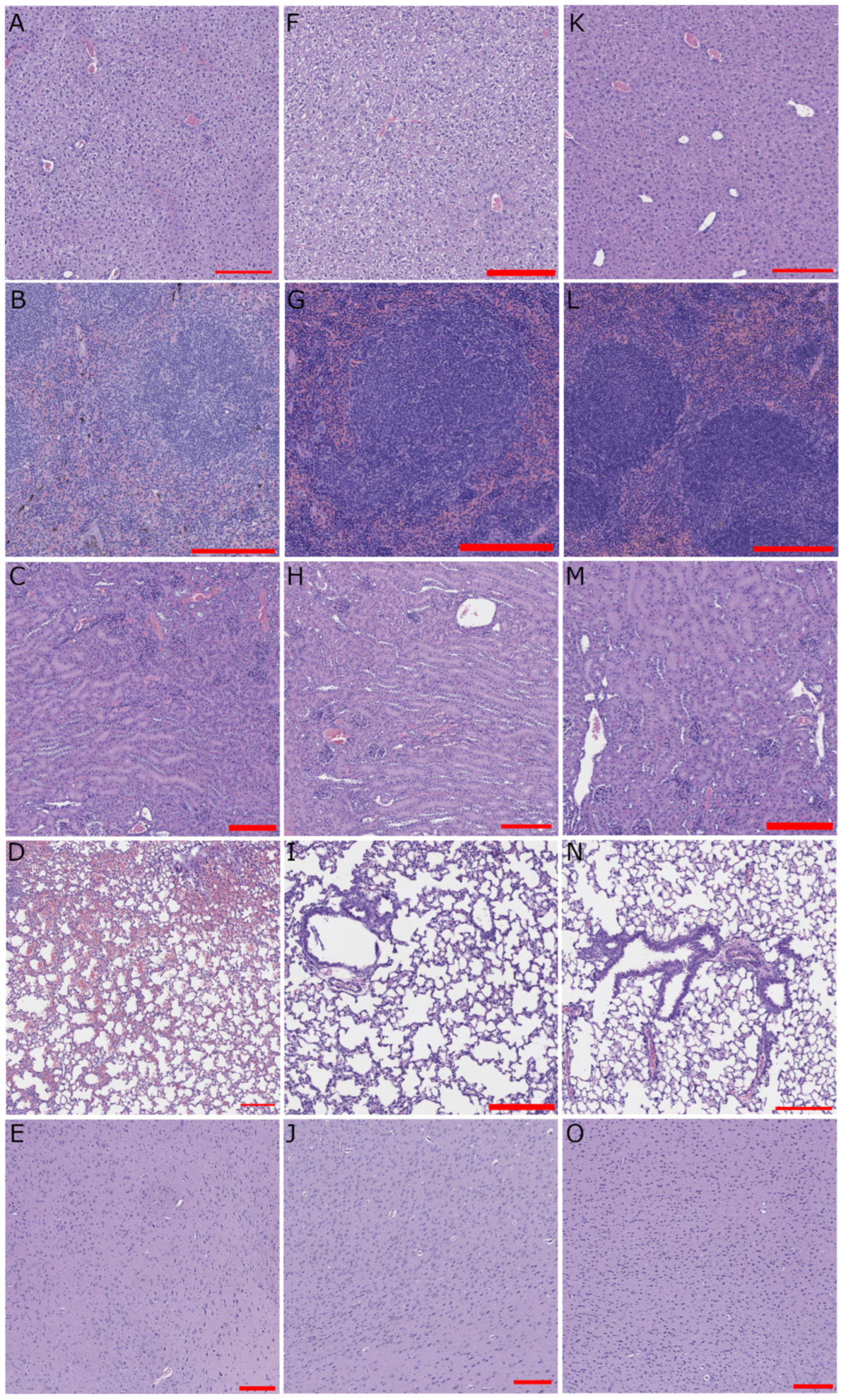 Pathogens 15 00394 g003