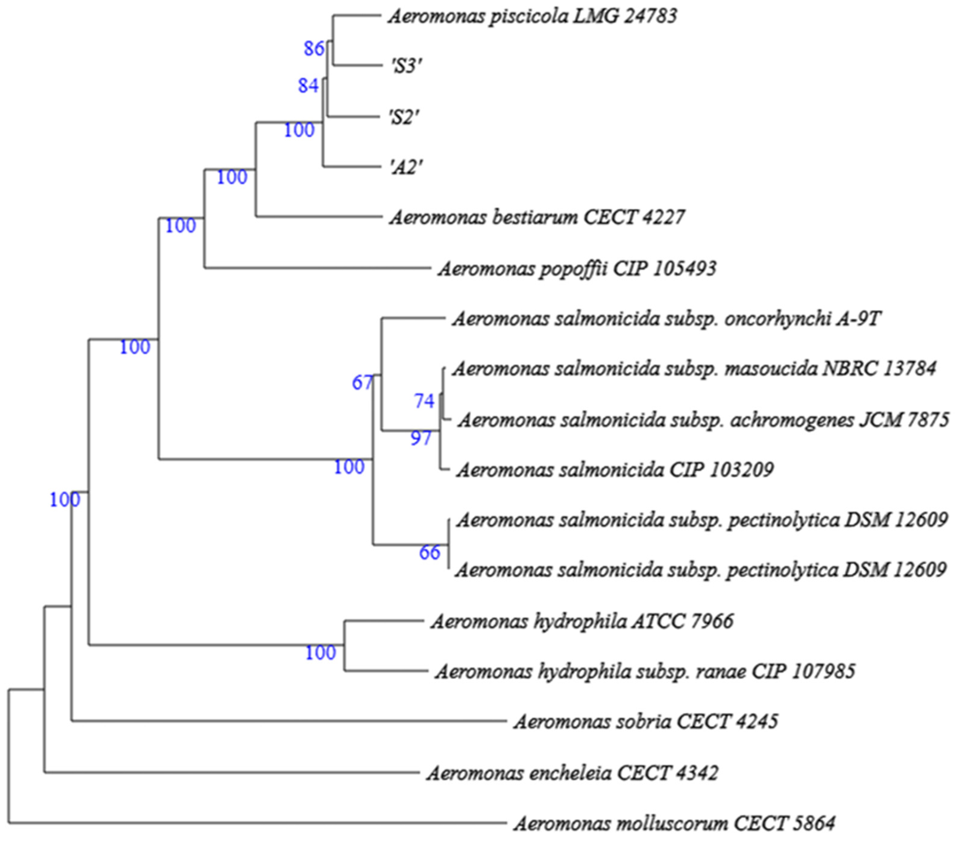 Pathogens 15 00402 g002