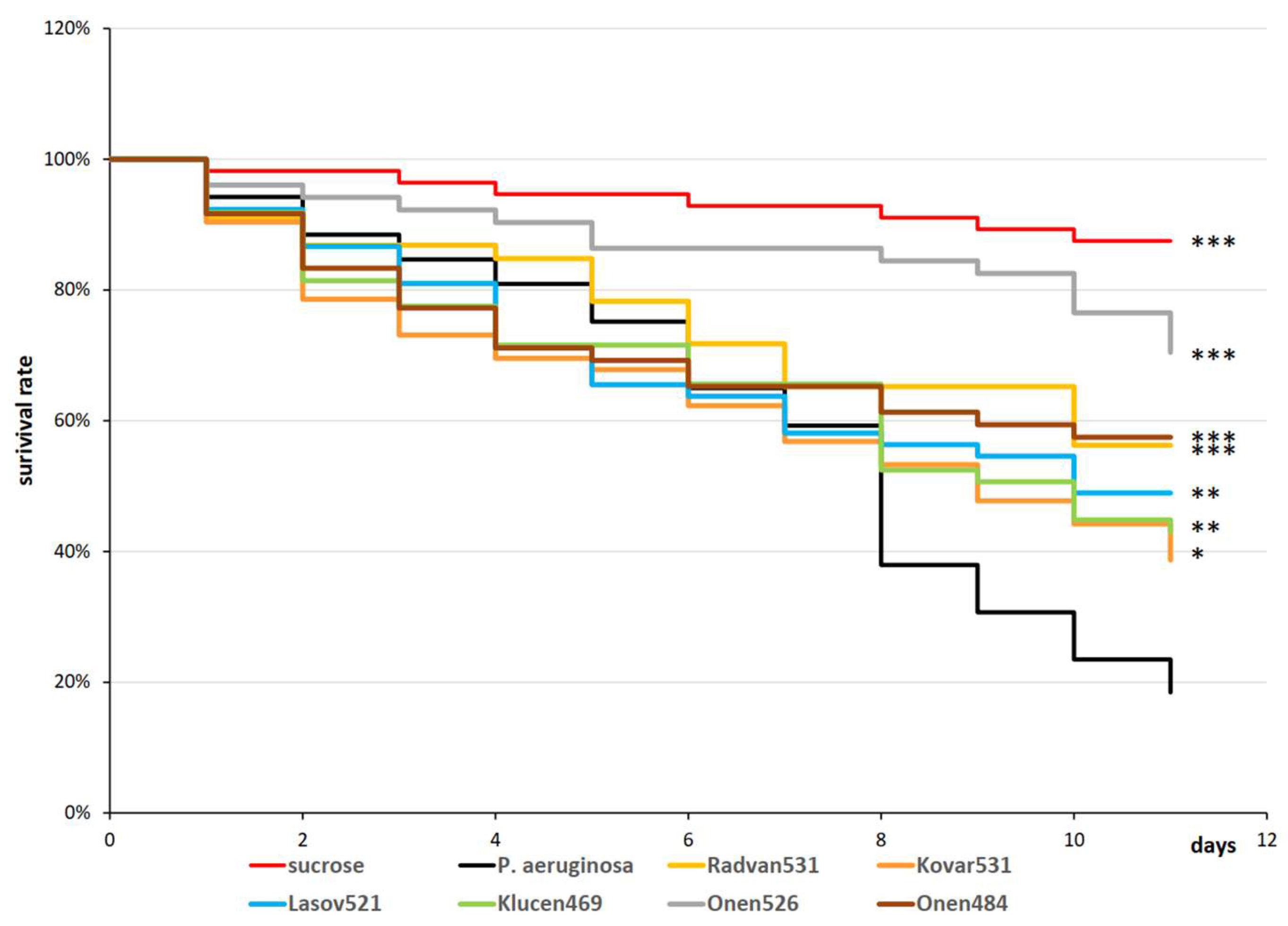 Pathogens 15 00411 g005