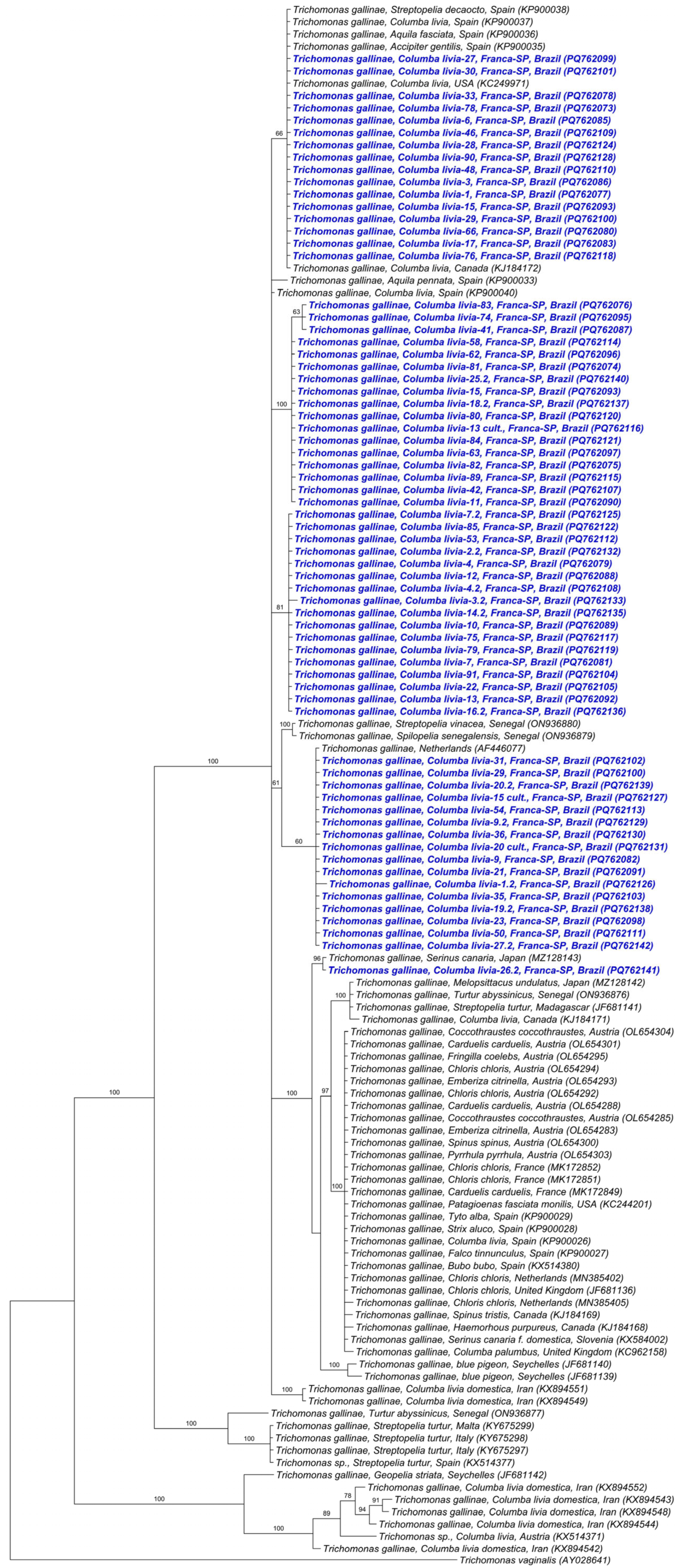 Pathogens 15 00428 g006 Pathogens 15 00428 g006
