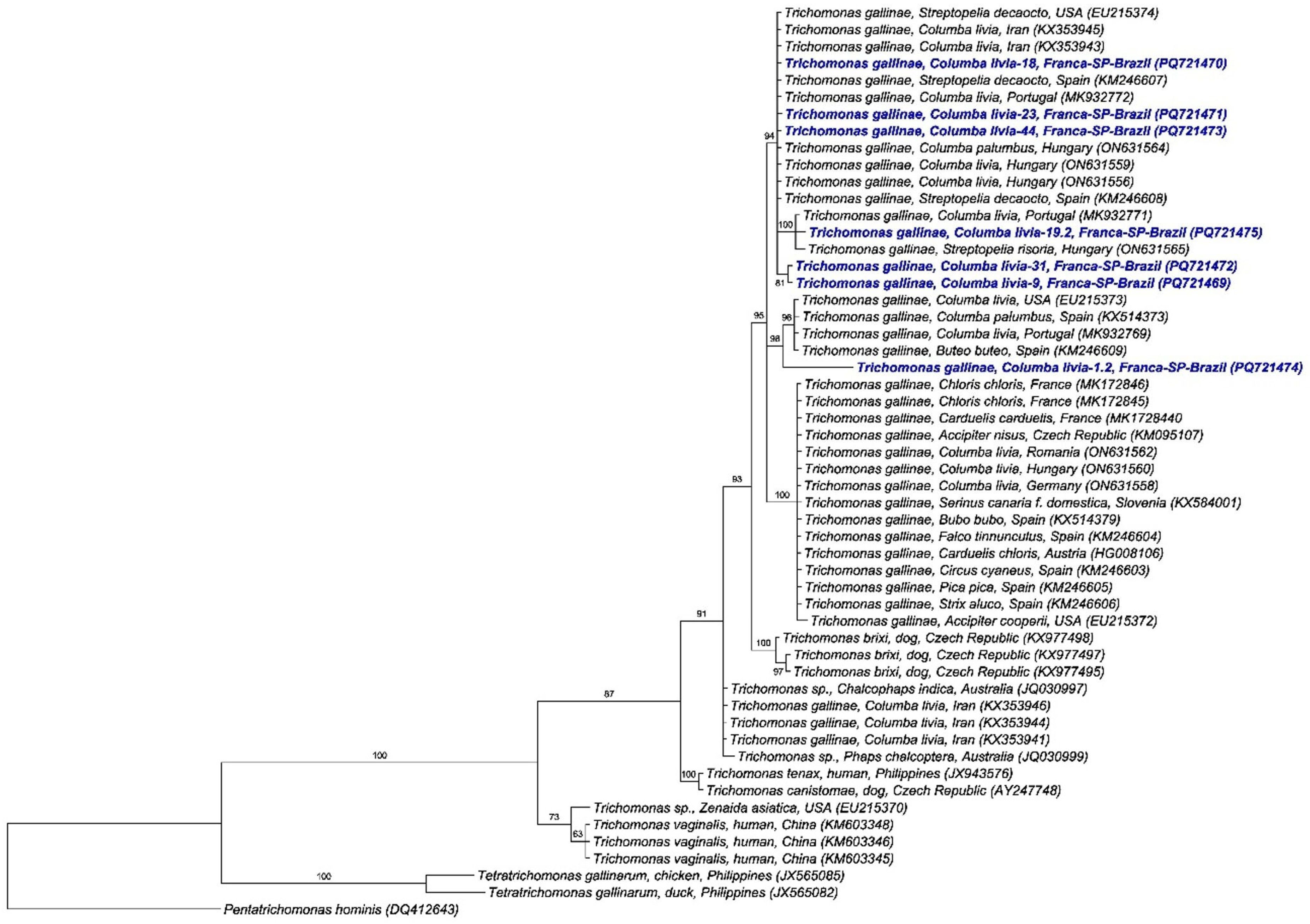 Pathogens 15 00428 g008 Pathogens 15 00428 g008