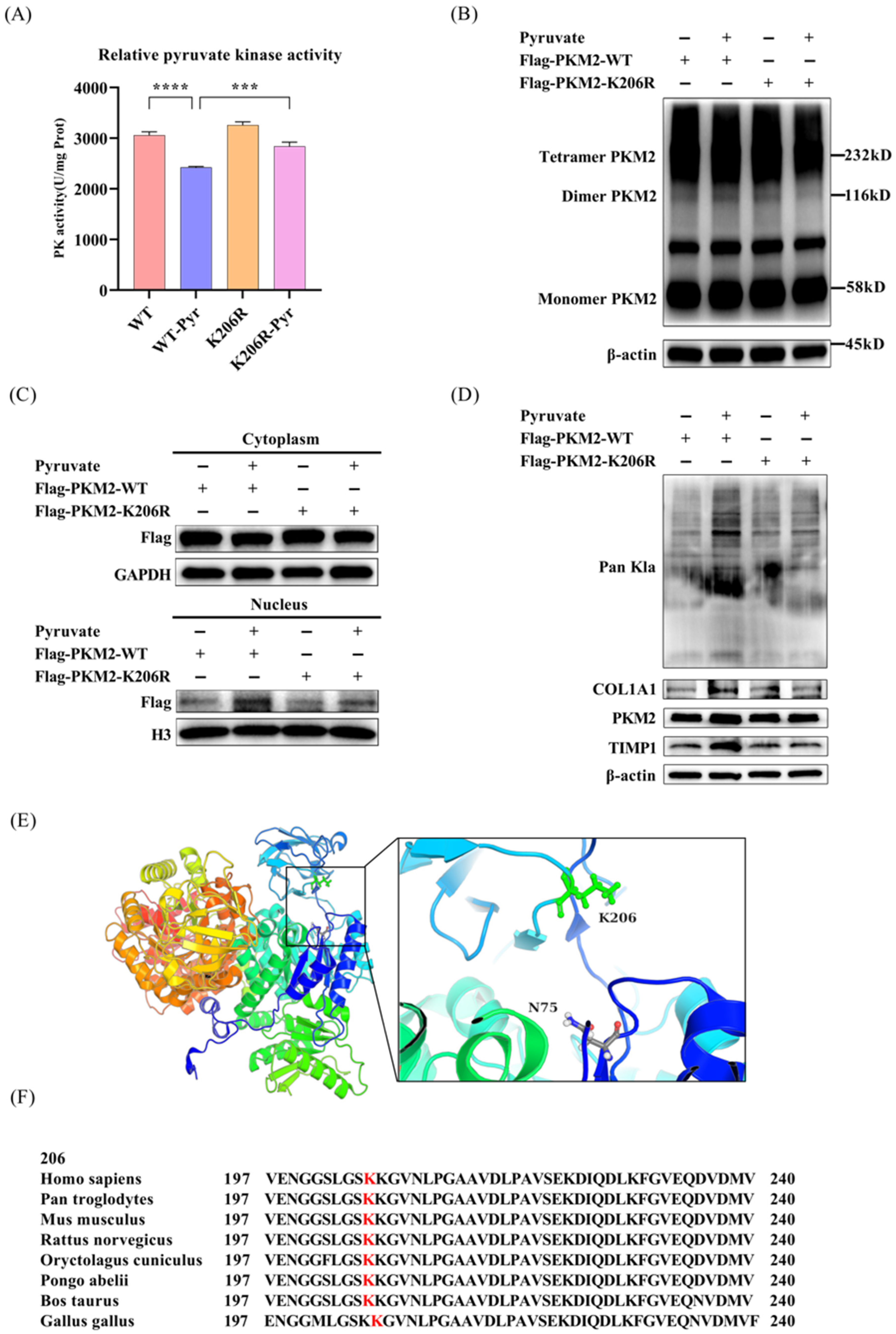 Pathogens 15 00431 g004