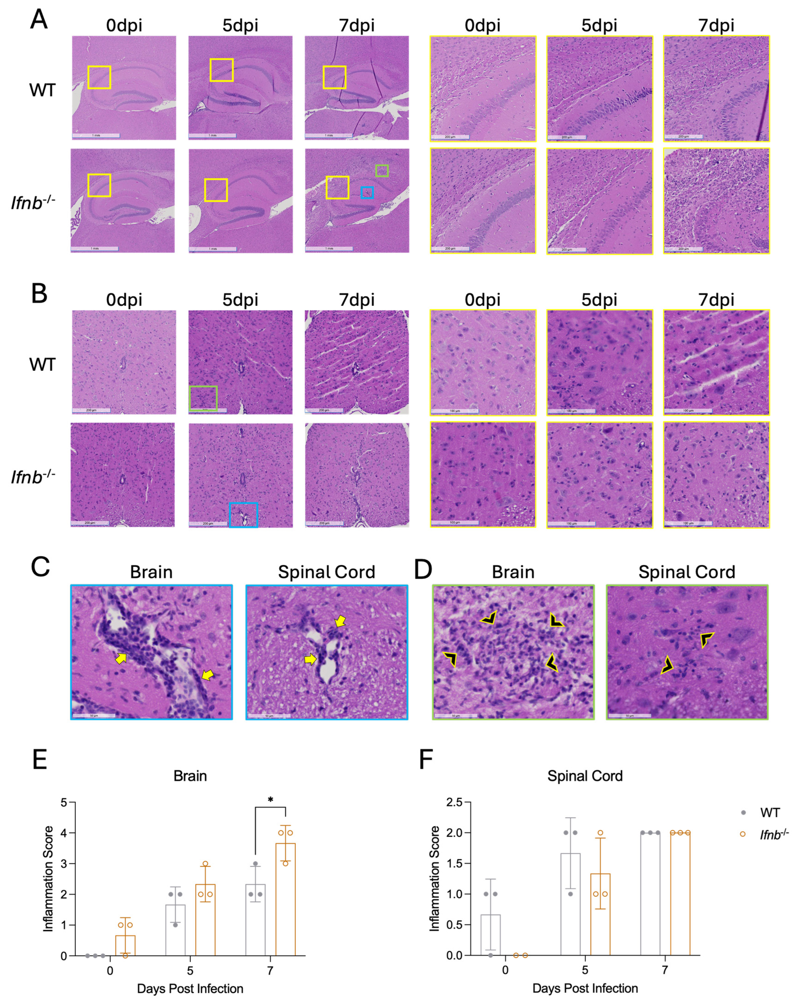 Pathogens 15 00441 g003 Pathogens 15 00441 g003