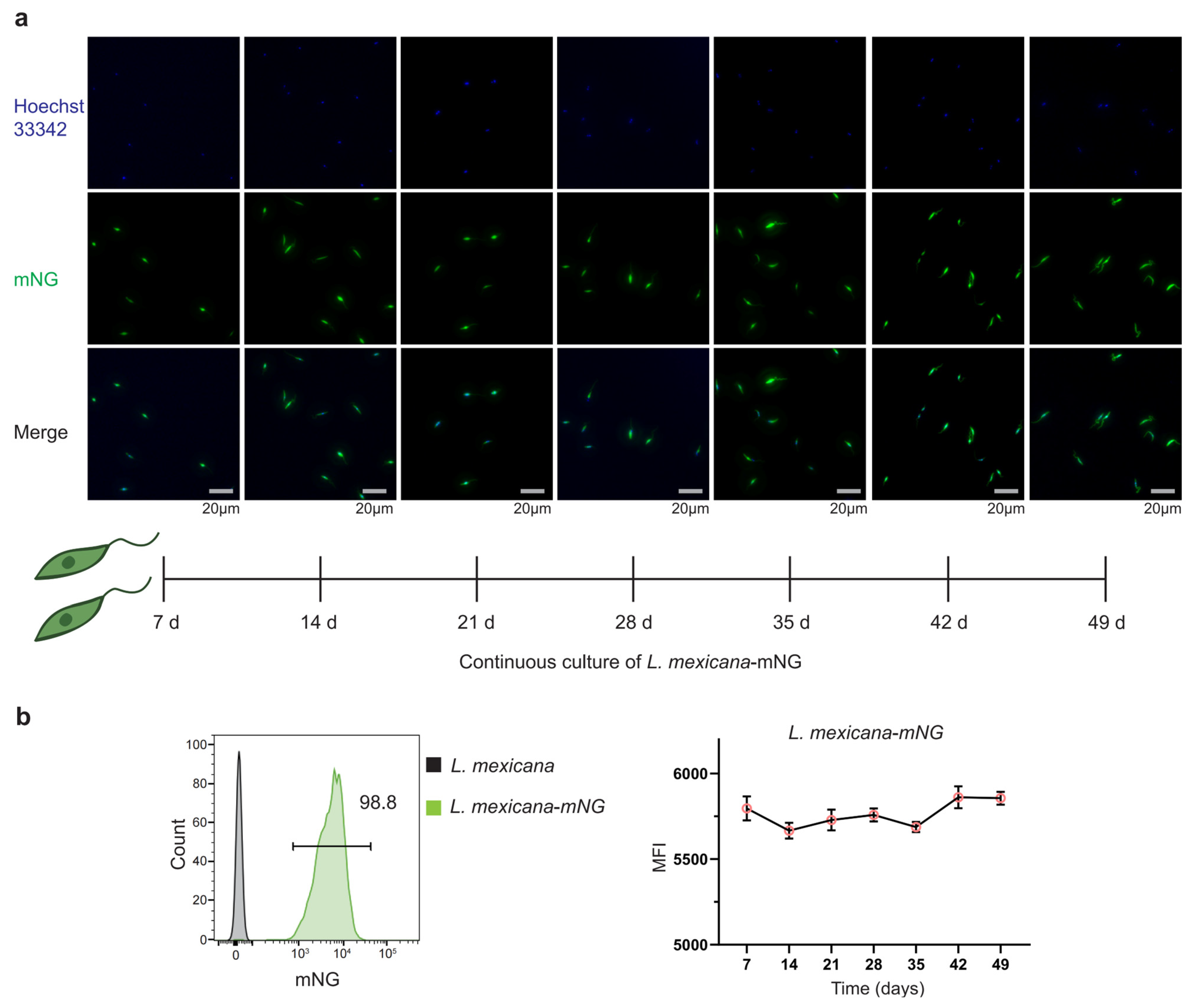 Pathogens 15 00448 g002 Pathogens 15 00448 g002