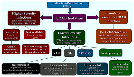 SulbactamDurlobactam for Carbapenem-Resistant Acinetobacter baumanniicalcoaceticus Complex SulbactamDurlobactam for Carbapenem-Resistant Acinetobacter baumanniicalcoaceticus Complex