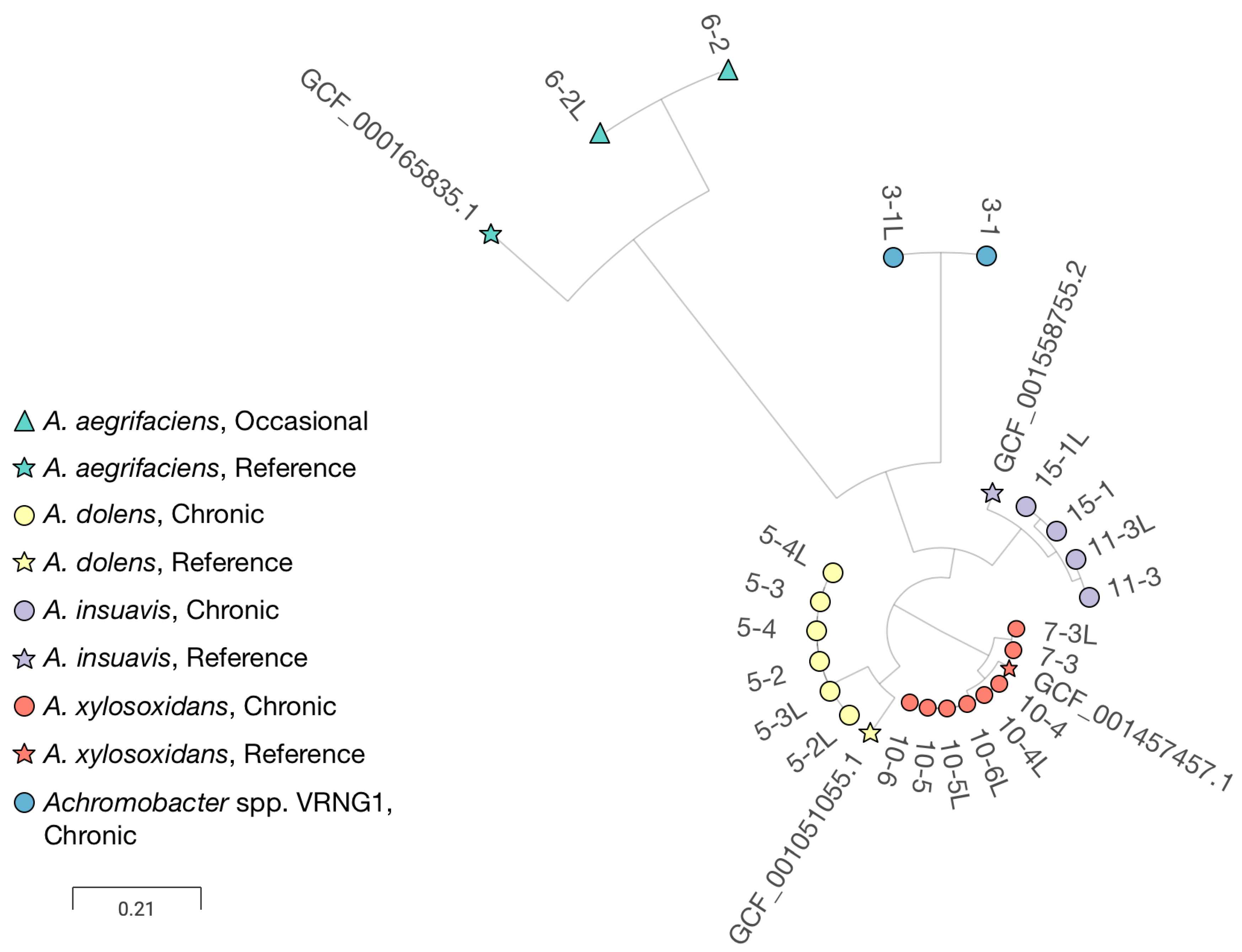 Pathogens 15 00452 g002 Pathogens 15 00452 g002