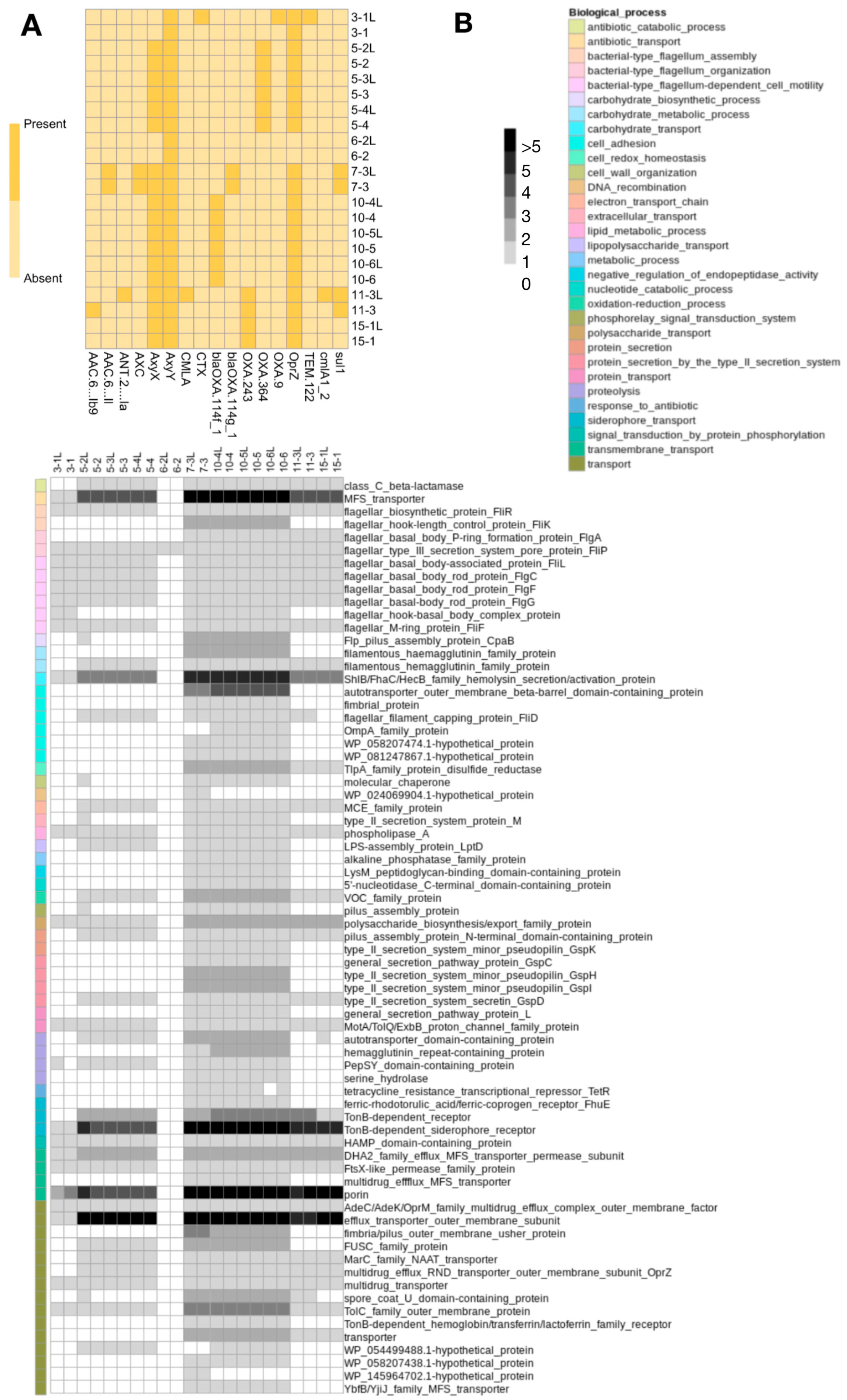 Pathogens 15 00452 g003 Pathogens 15 00452 g003