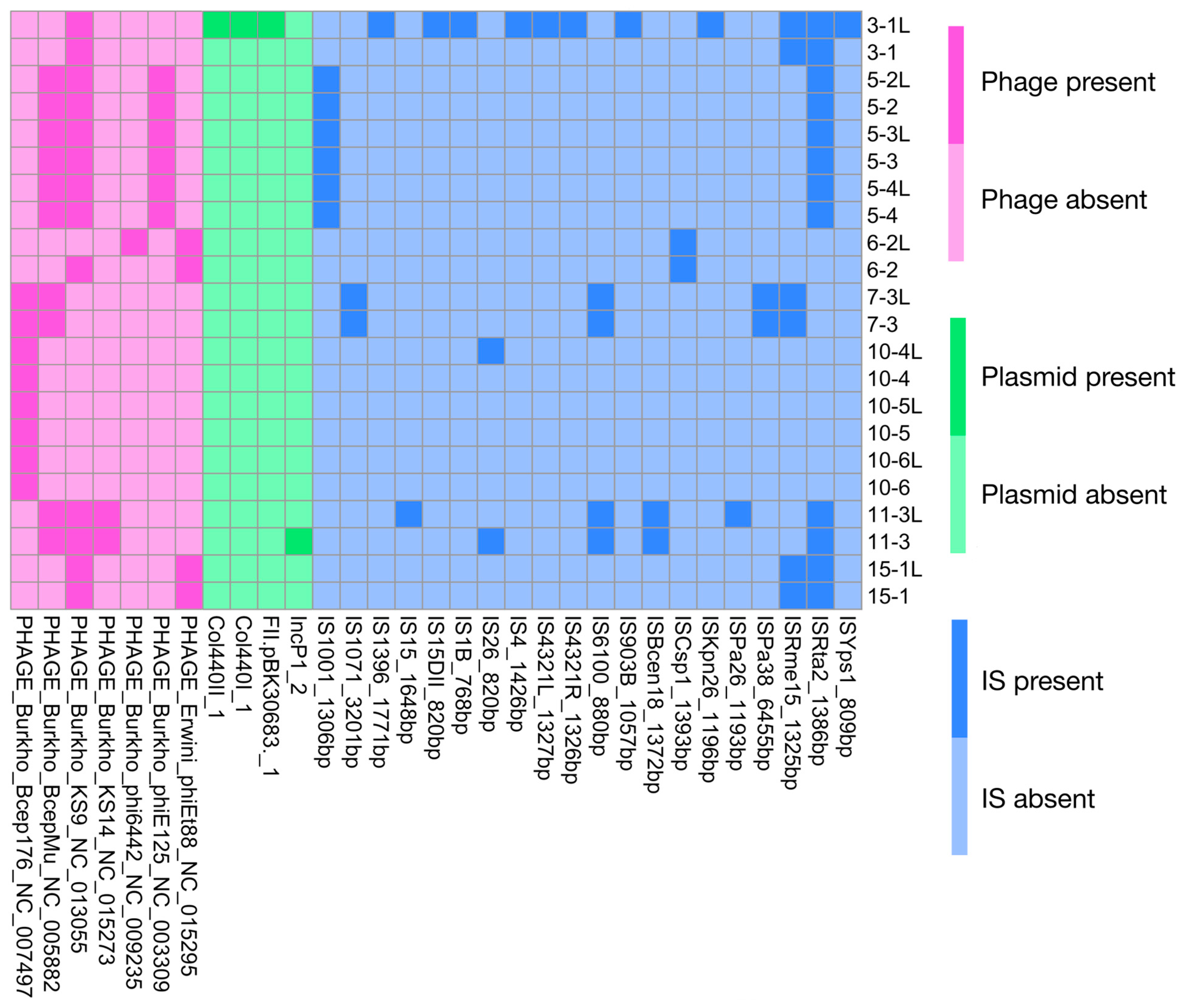 Pathogens 15 00452 g004 Pathogens 15 00452 g004