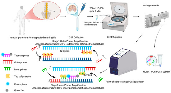 A Multiplex One-Tube Nested Real-Time PCR Assay for the Point-of-Care ...