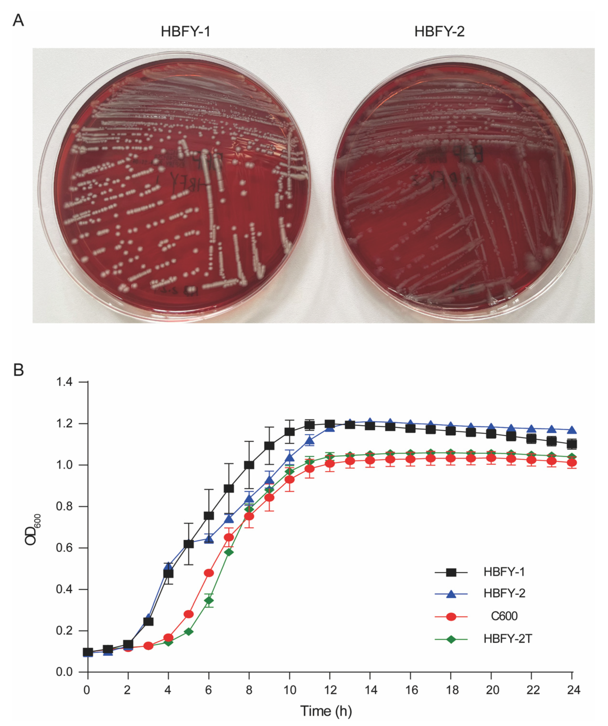 Pathogens 15 00476 g002 Pathogens 15 00476 g002