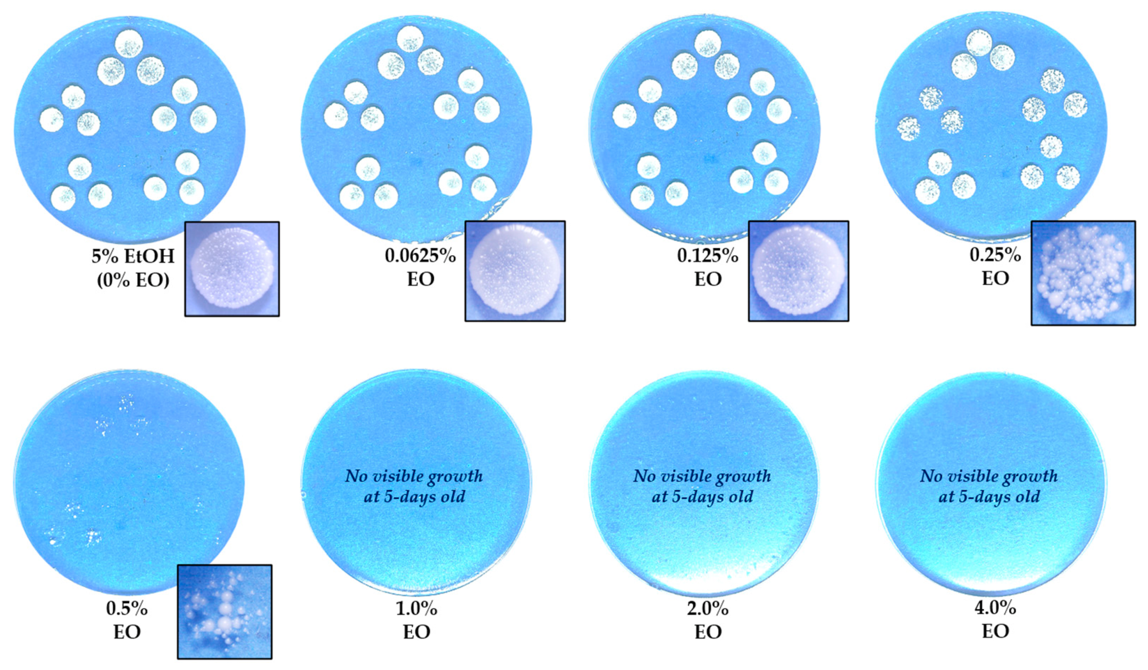 Pathogens 15 00479 g004 Pathogens 15 00479 g004