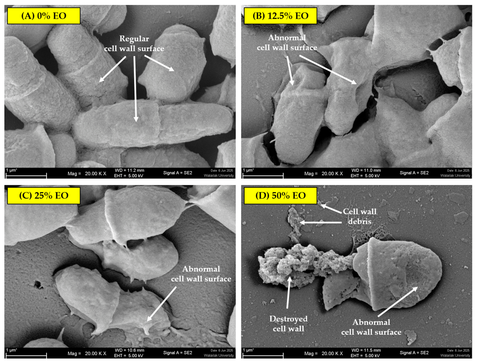 Pathogens 15 00479 g006 Pathogens 15 00479 g006