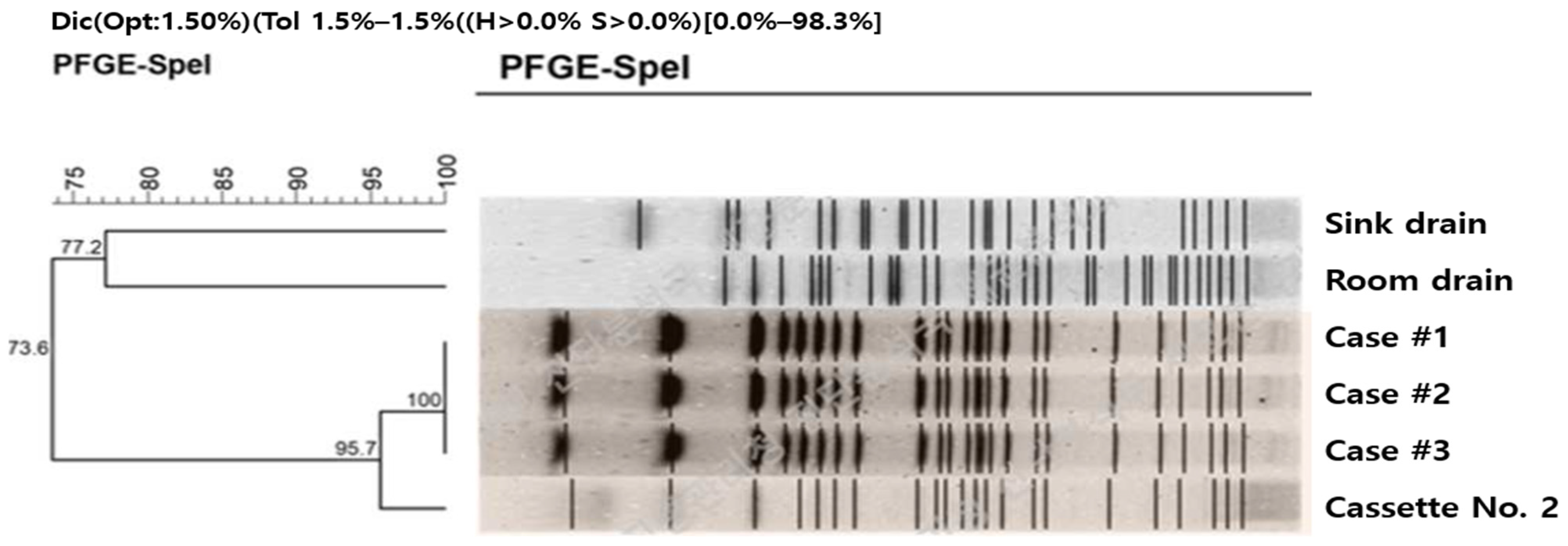Pathogens 15 00480 g006 Pathogens 15 00480 g006