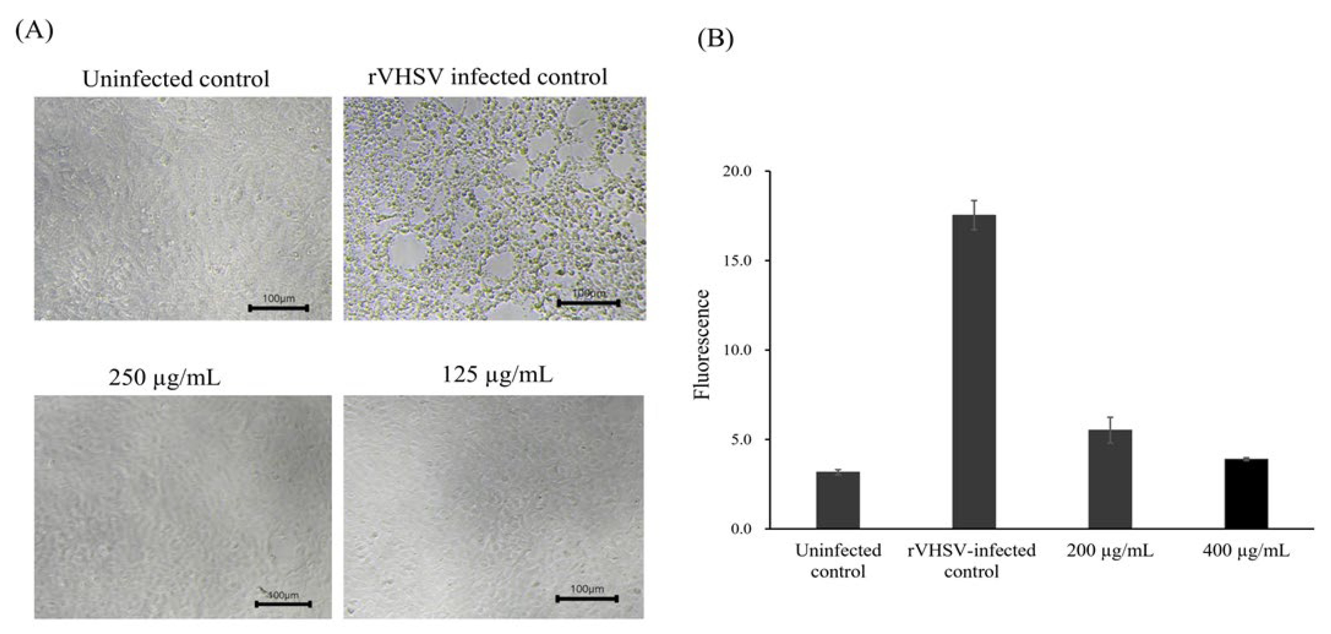 Pathogens 15 00491 g001 Pathogens 15 00491 g001