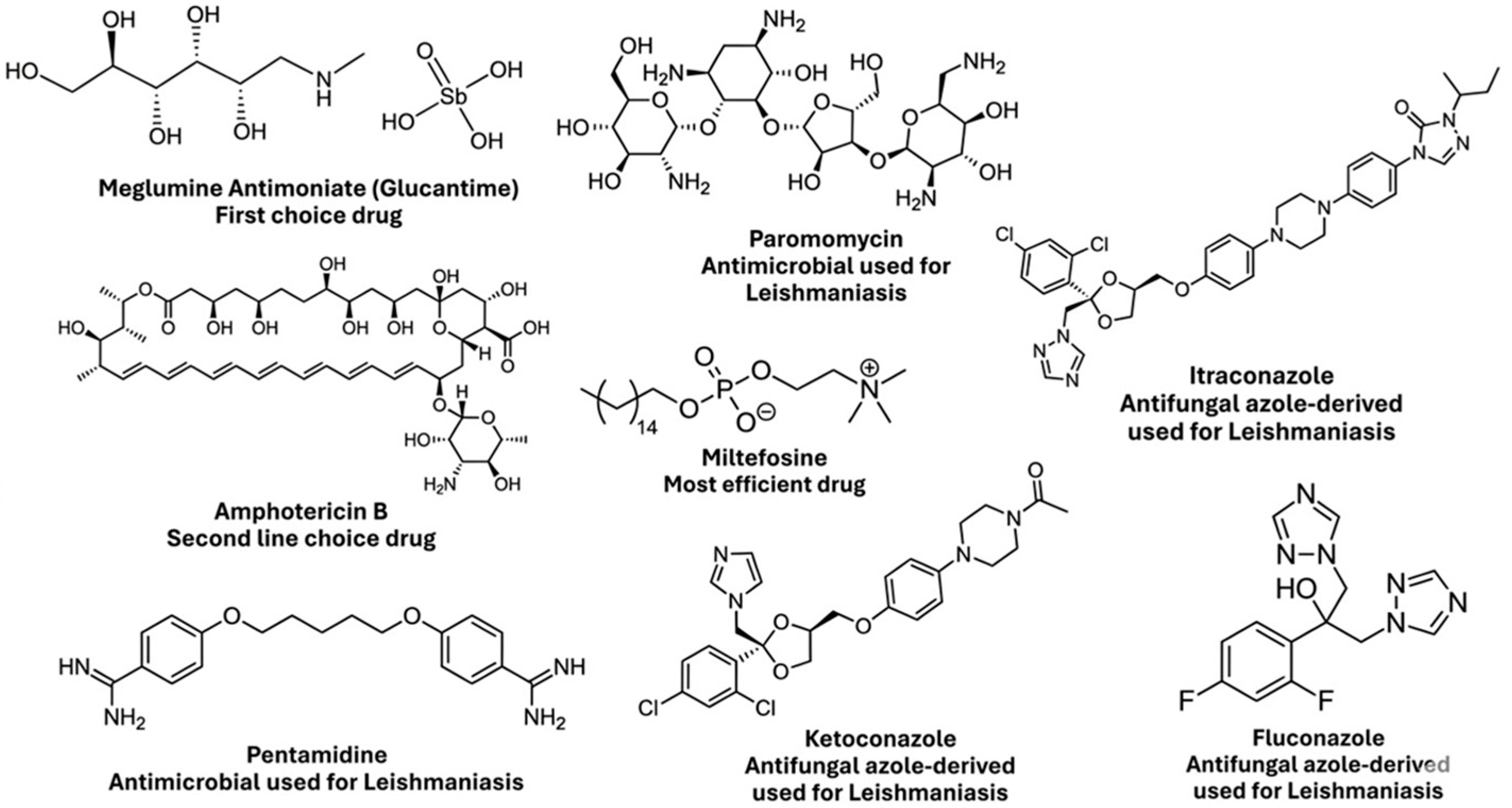 Pathogens 15 00544 g001 Pathogens 15 00544 g001