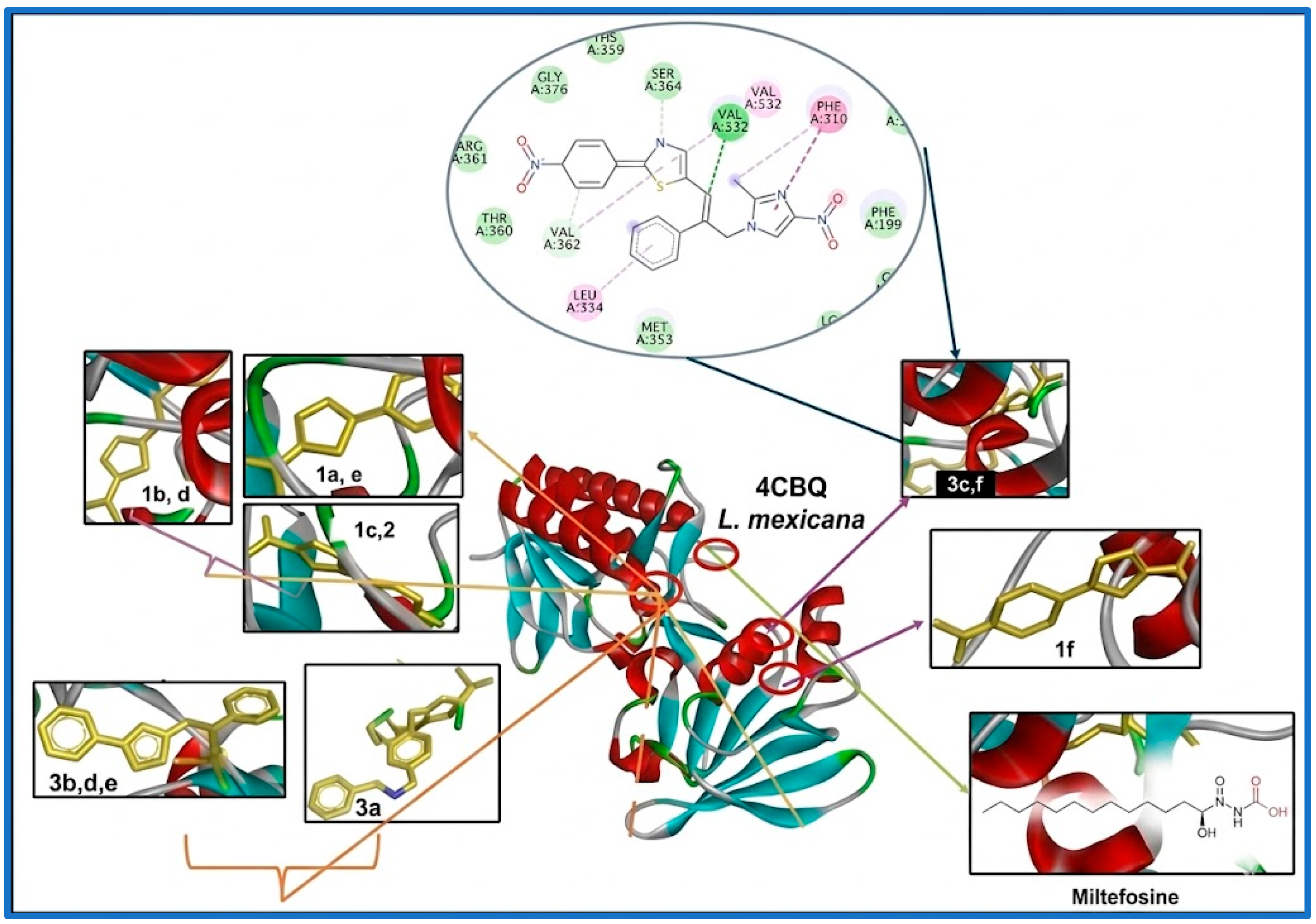 Pathogens 15 00544 g004 Pathogens 15 00544 g004