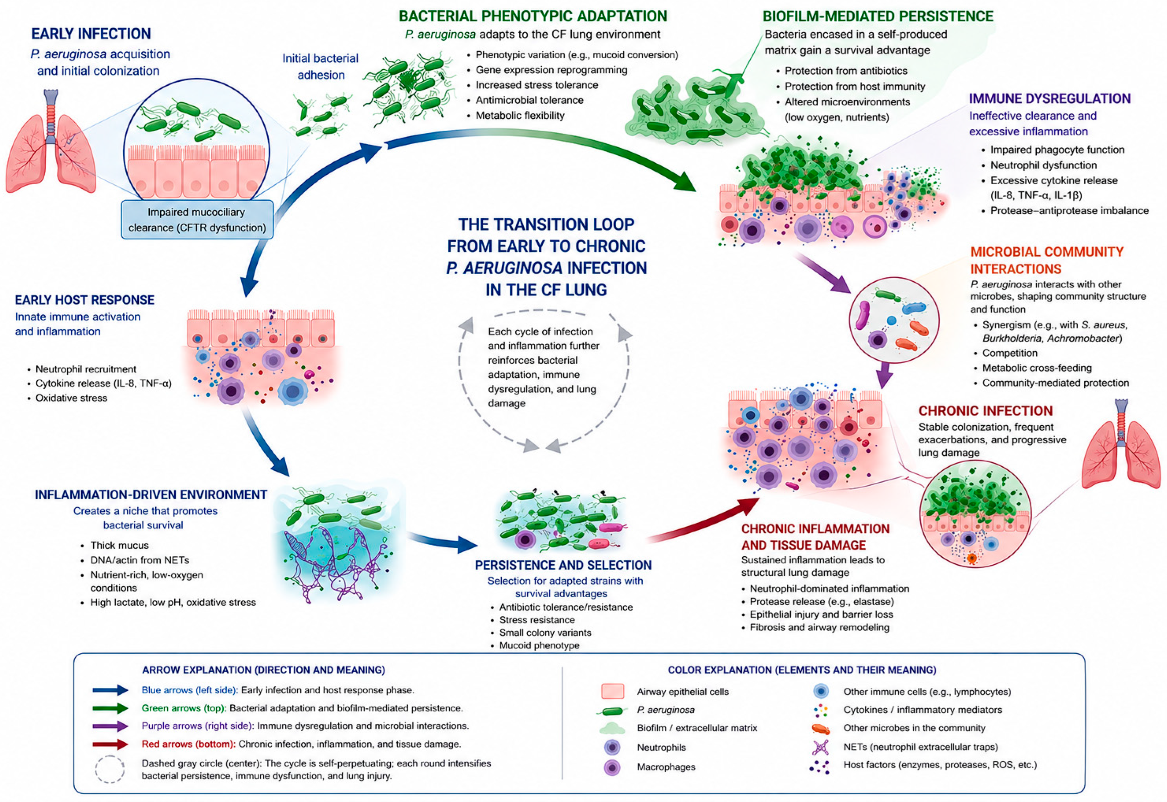 Pathogens 15 00557 g001 Pathogens 15 00557 g001