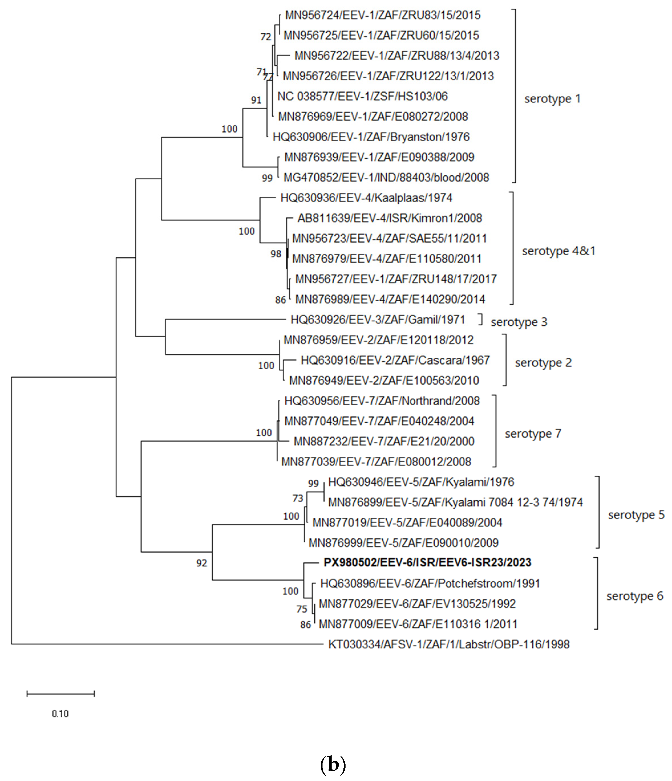 Pathogens 15 00571 g002b Pathogens 15 00571 g002b