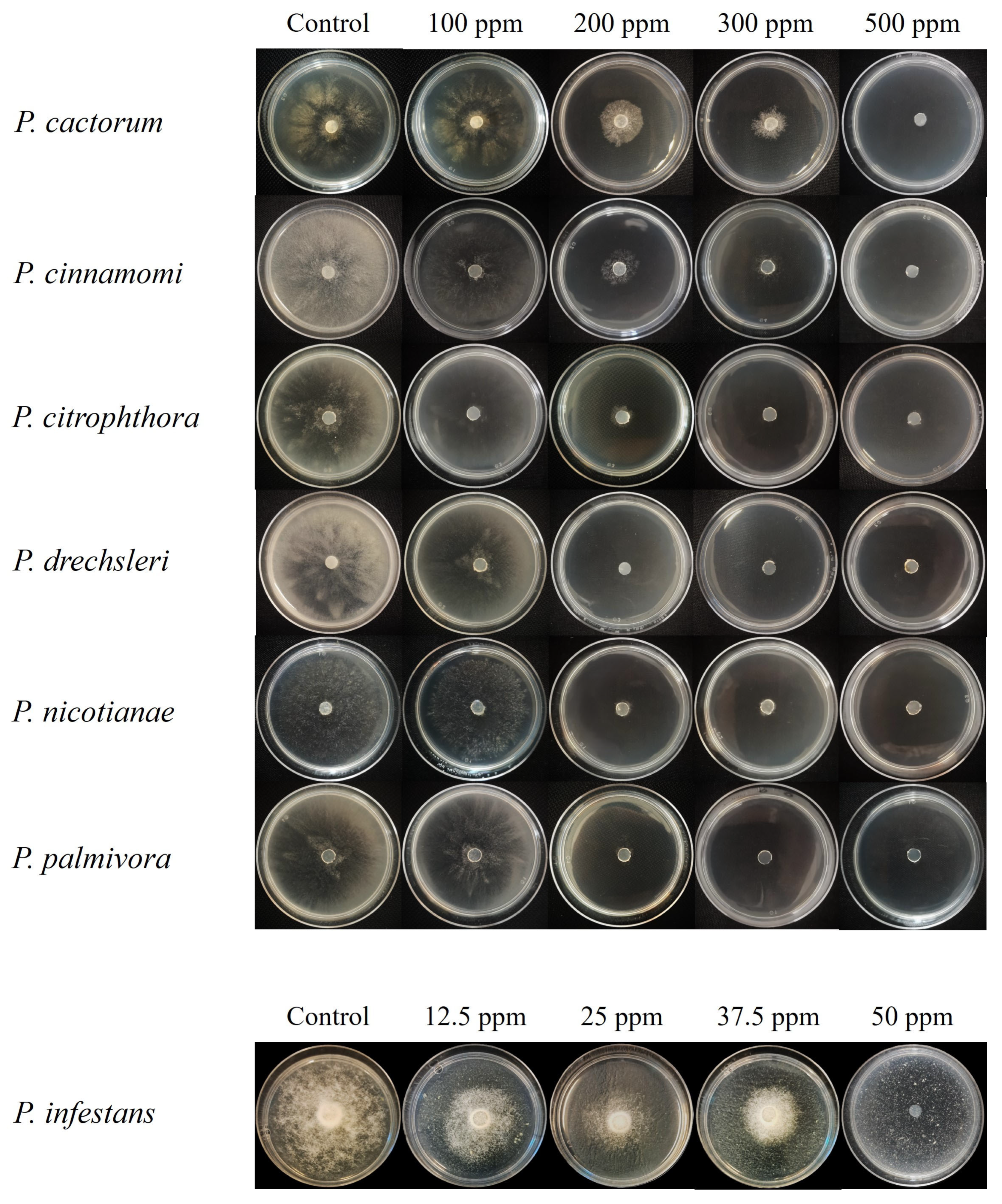 Pathogens 15 00582 g005
