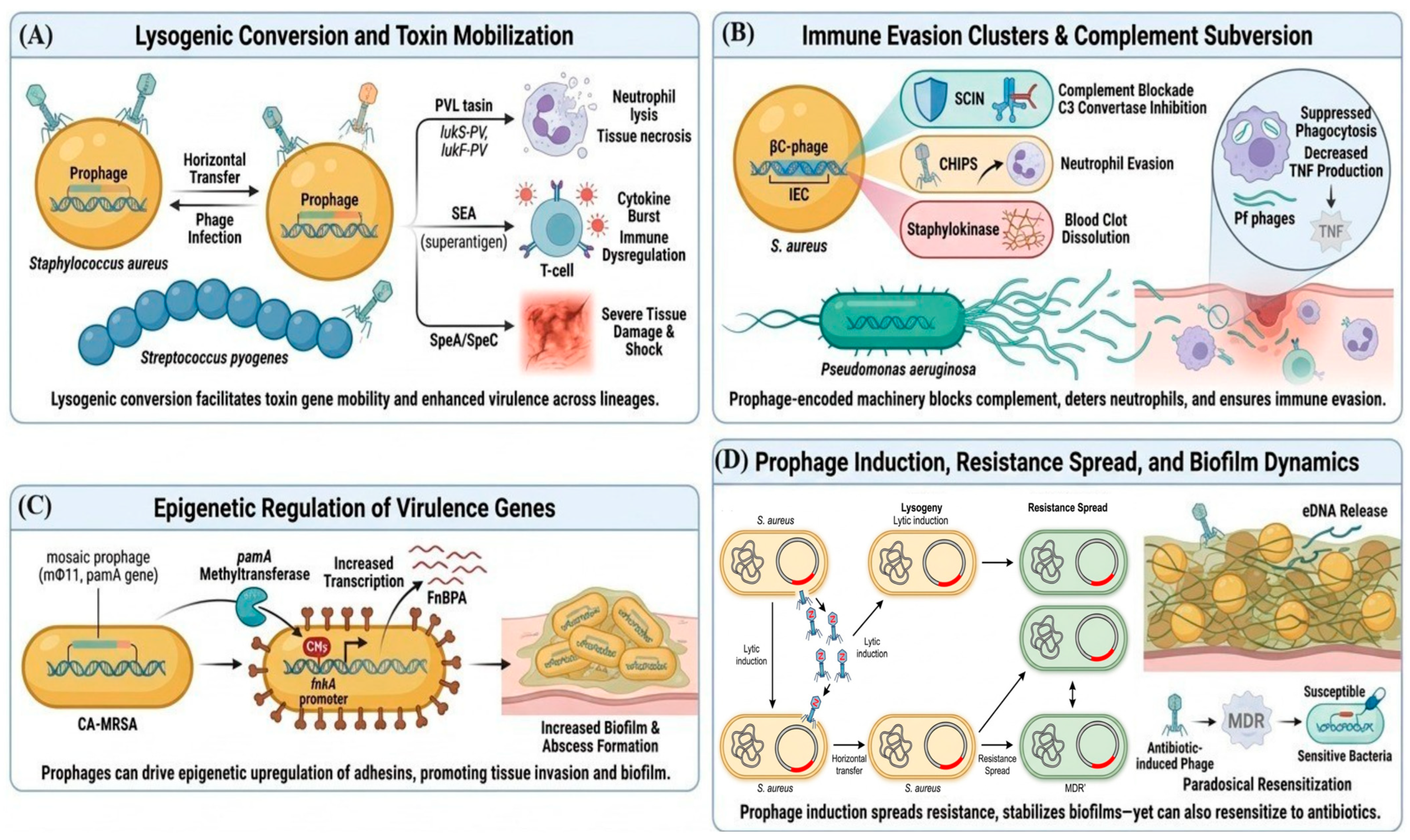 Pathogens 15 00599 g001