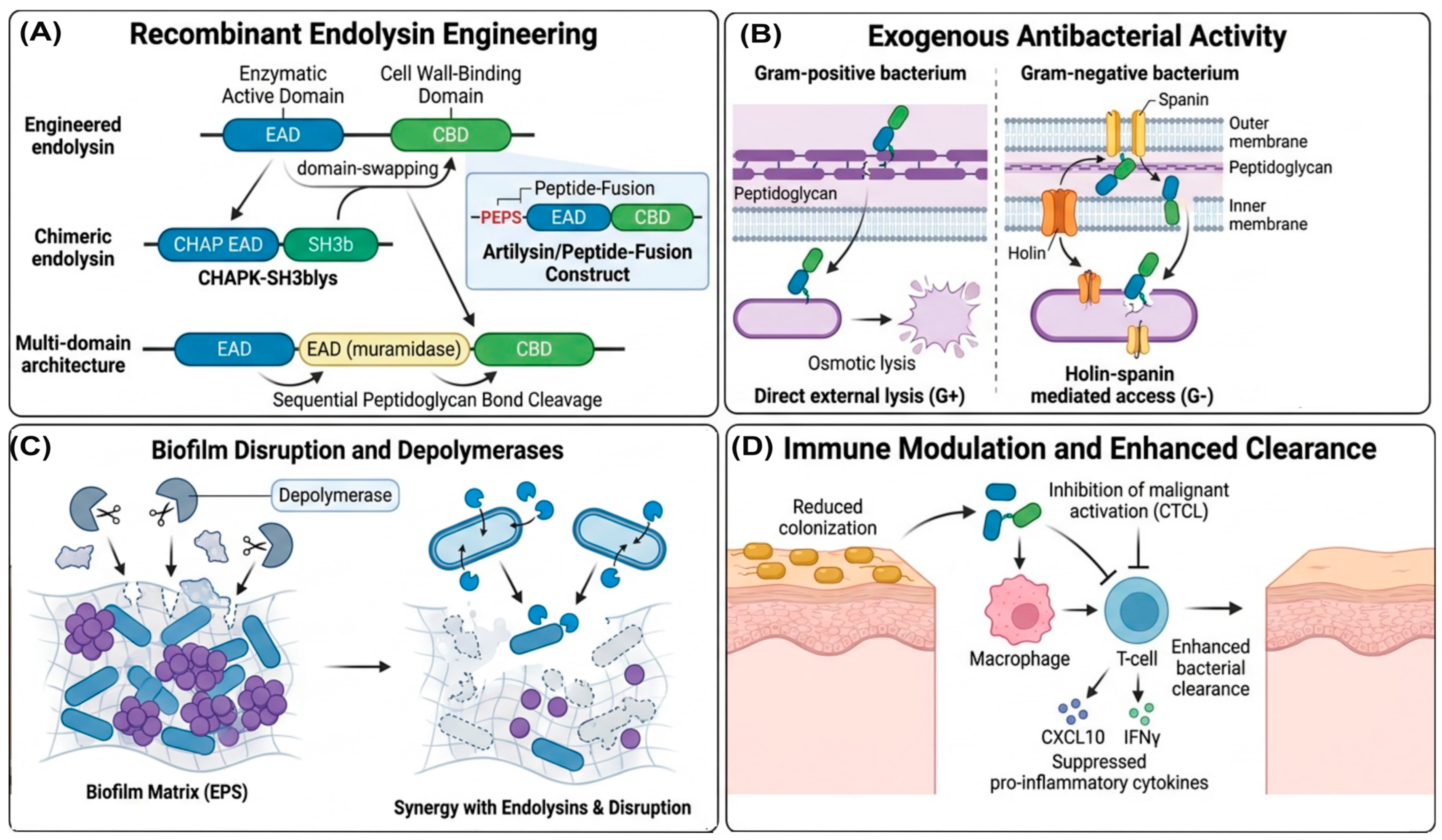 Pathogens 15 00599 g003