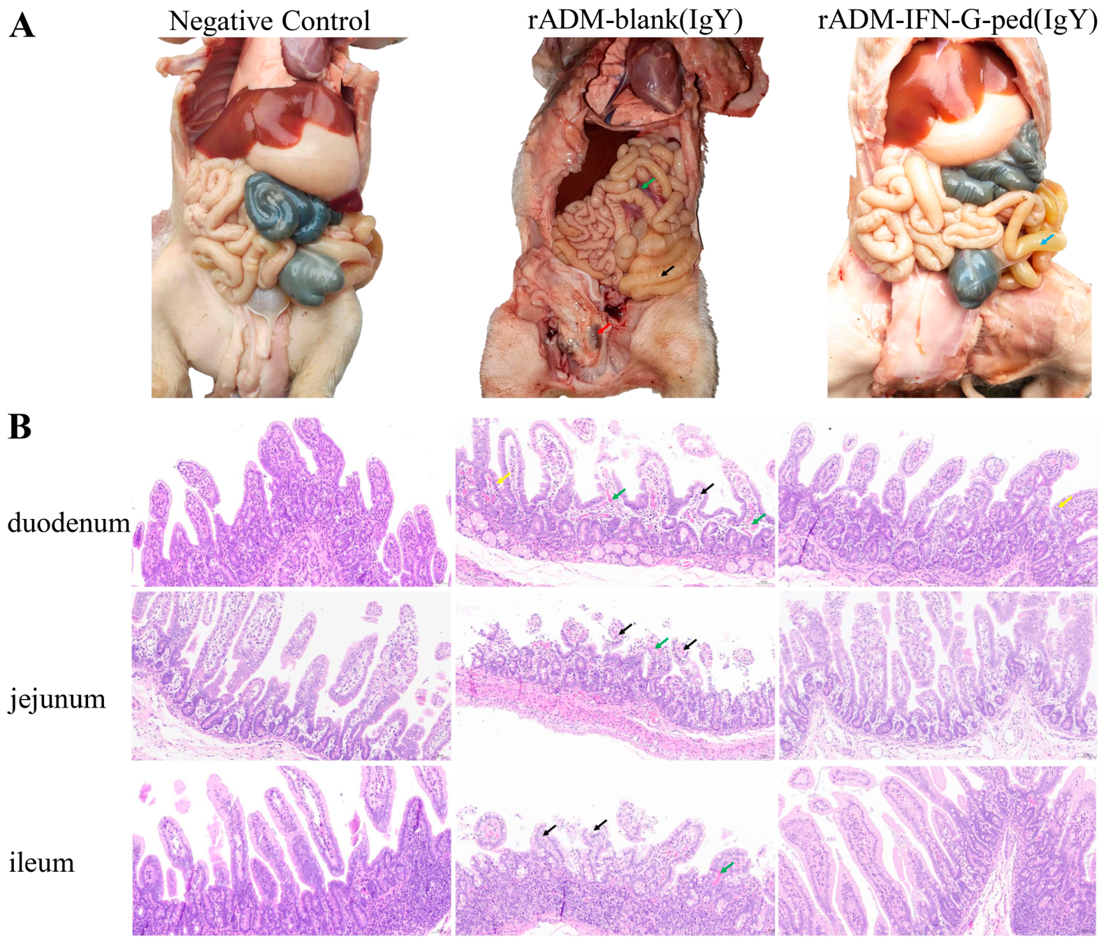 Pathogens 15 00602 g005