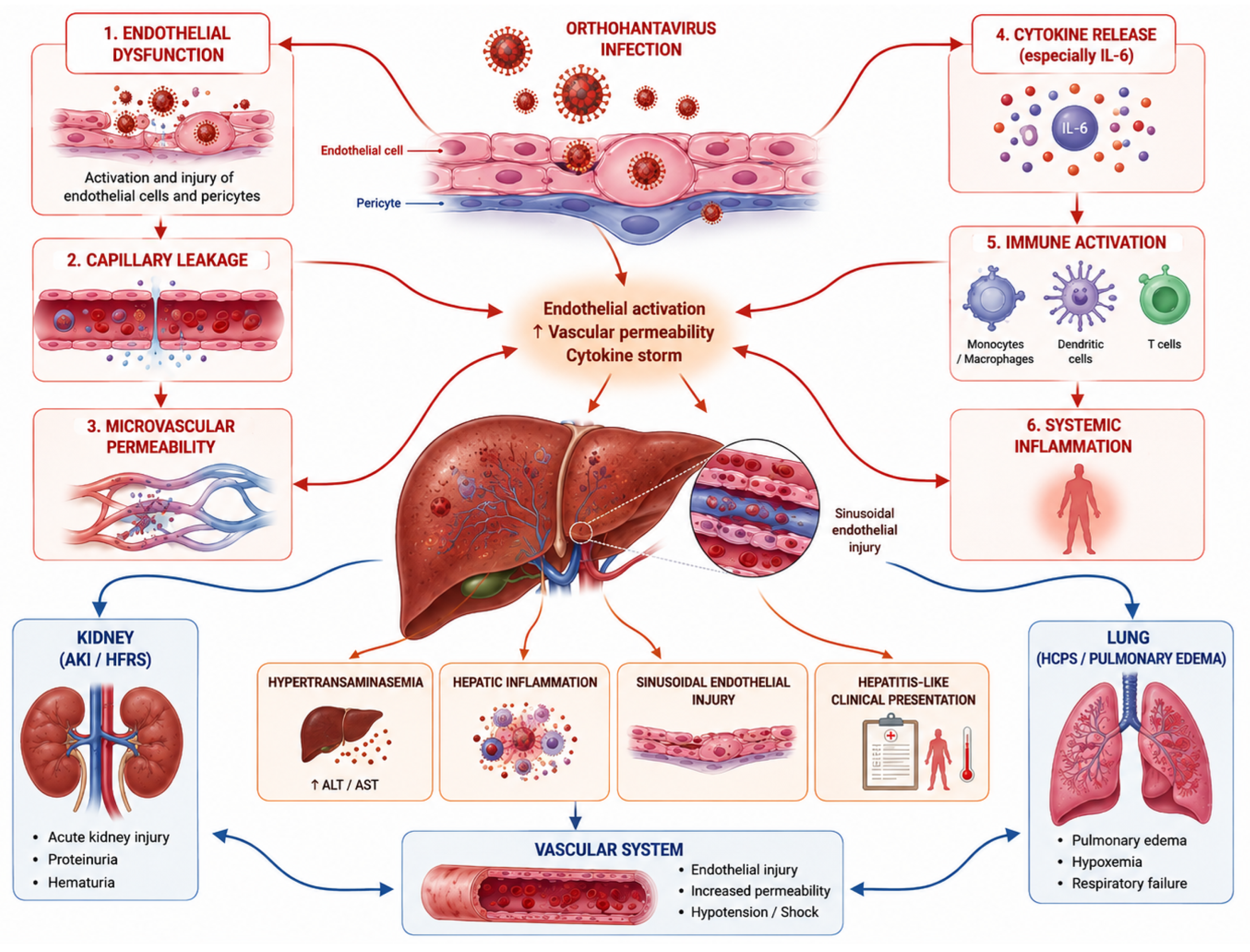 Pathogens 15 00632 g001