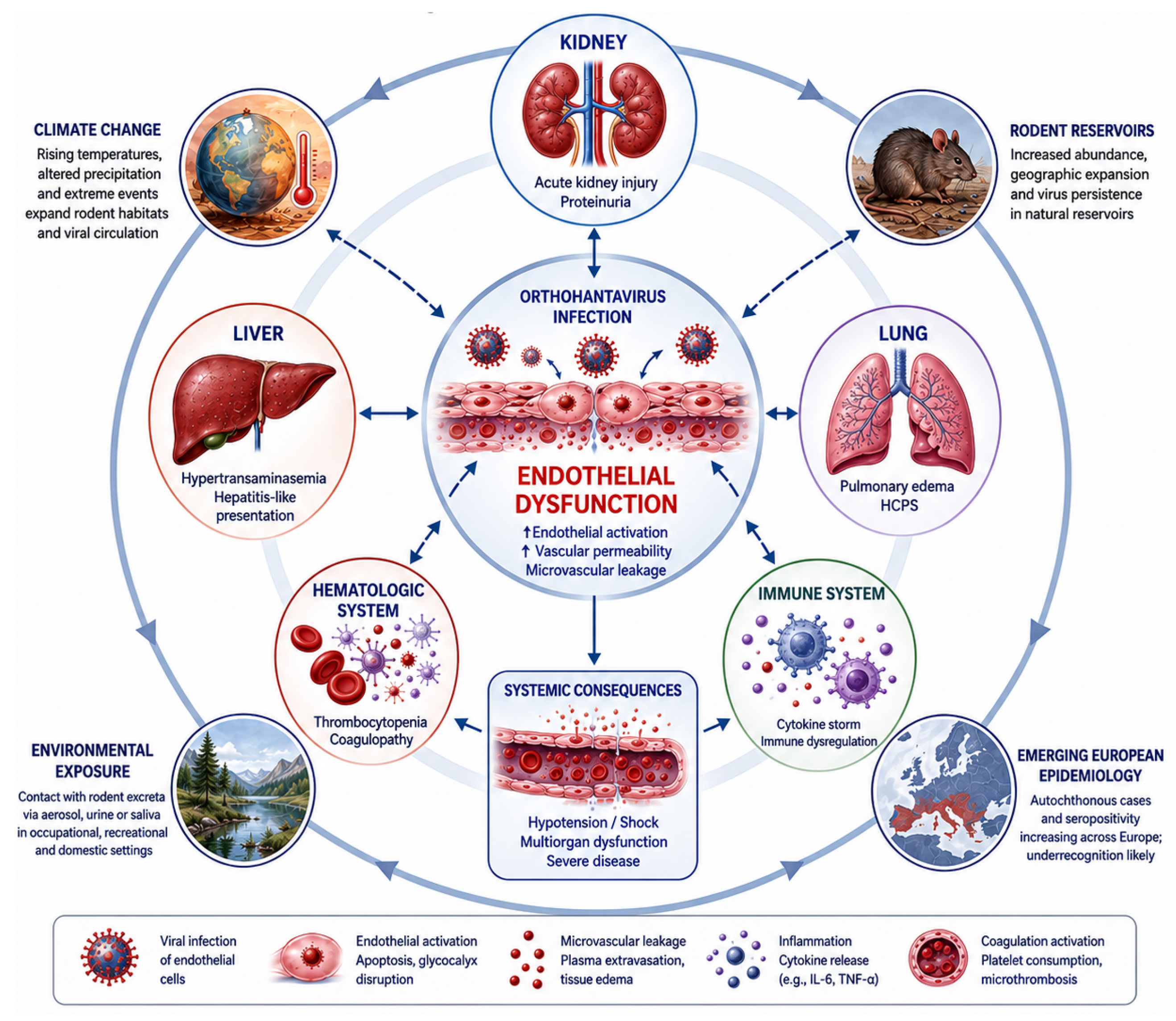 Pathogens 15 00632 g002