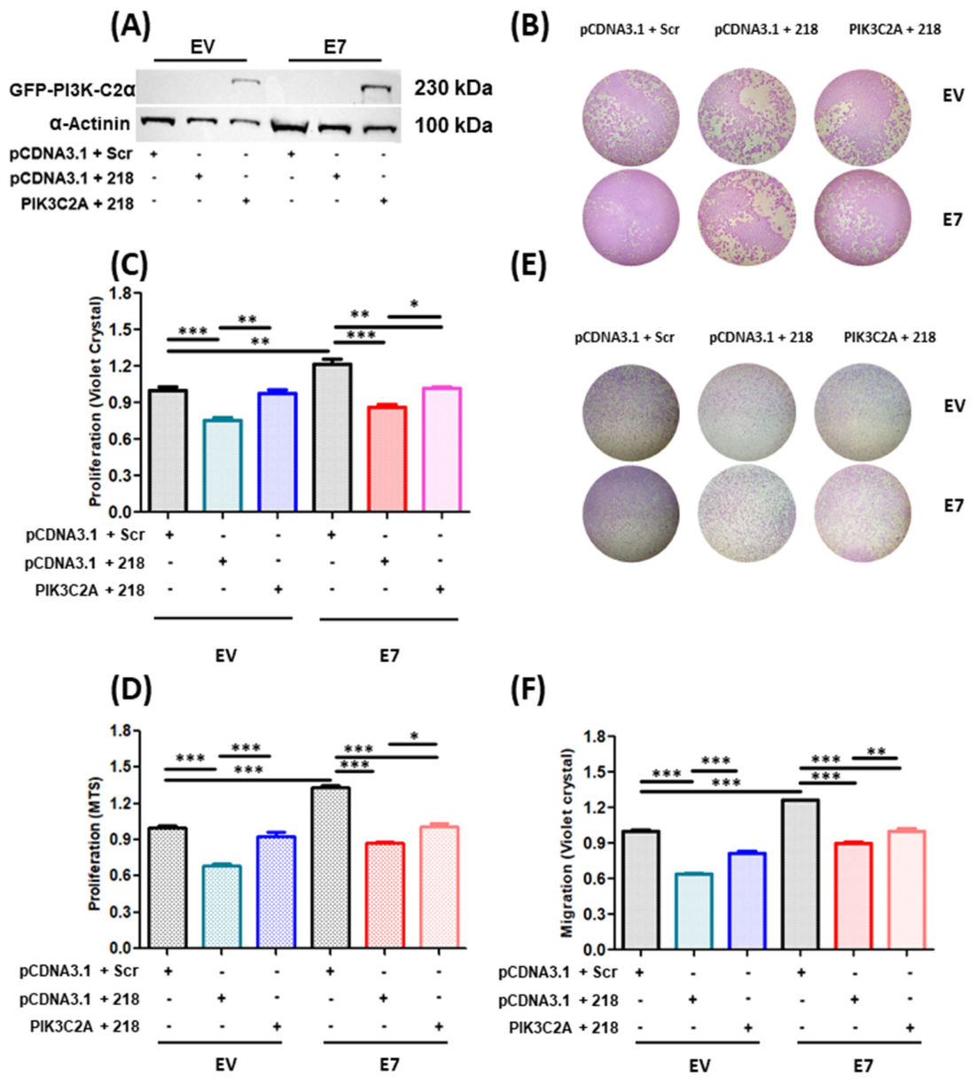 Pathogens 15 00648 g005 Pathogens 15 00648 g005