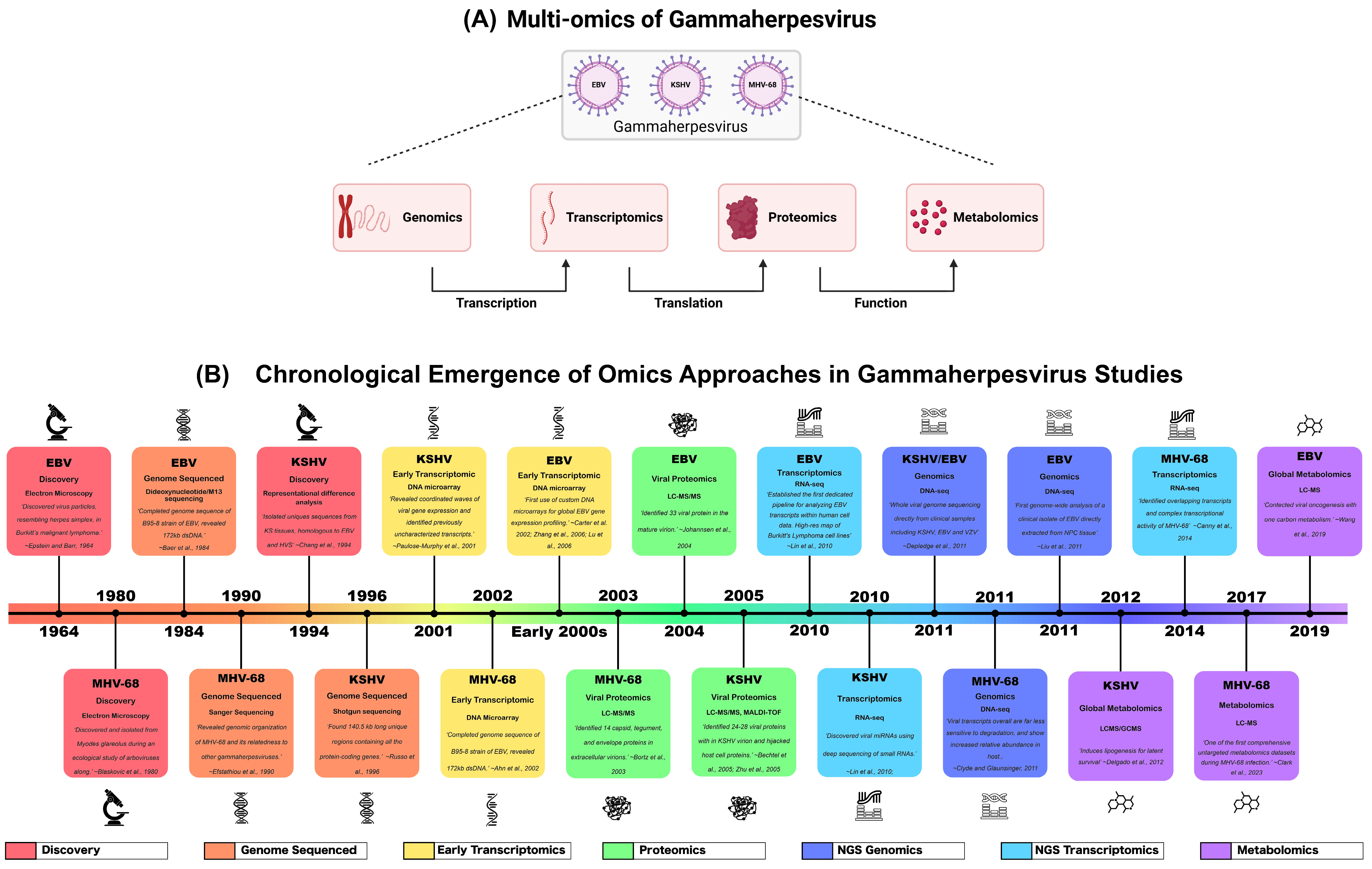 Pathogens 15 00713 g001 Pathogens 15 00713 g001