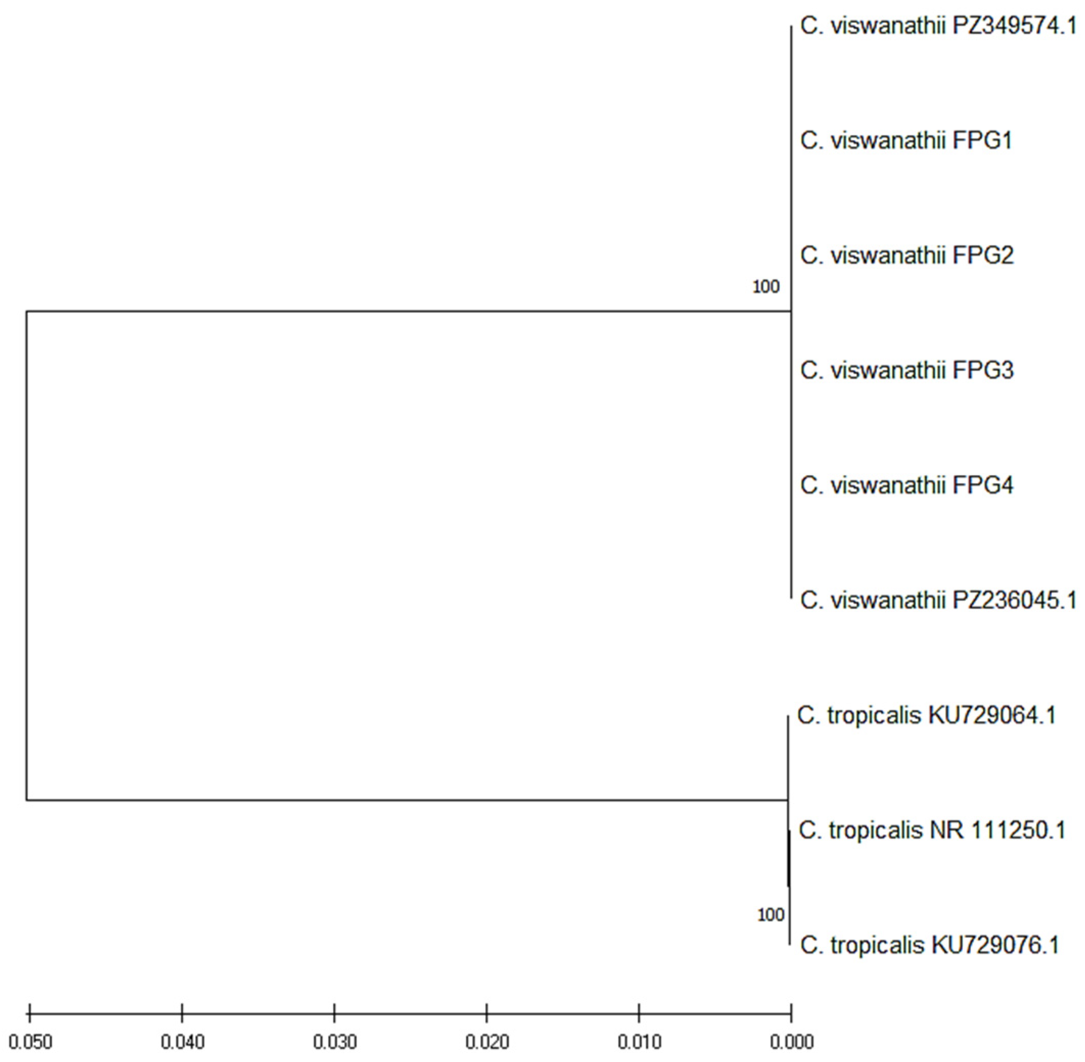 Pathogens 15 00724 g002 Pathogens 15 00724 g002