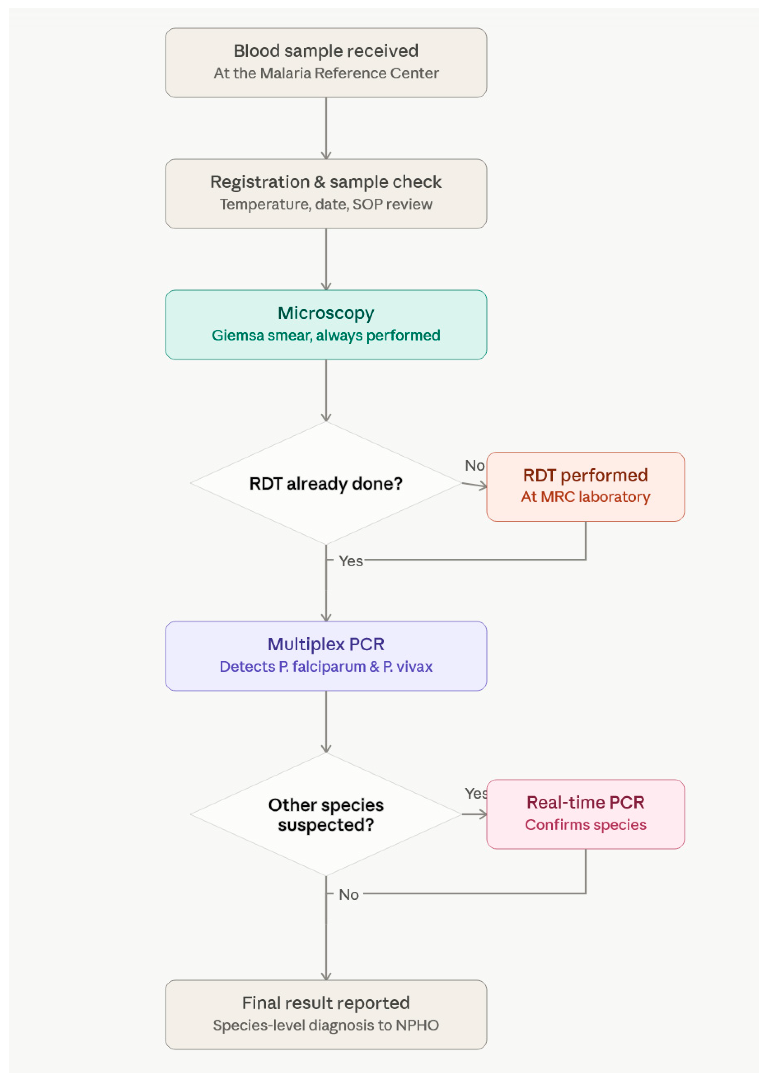 Pathogens 15 00782 g001