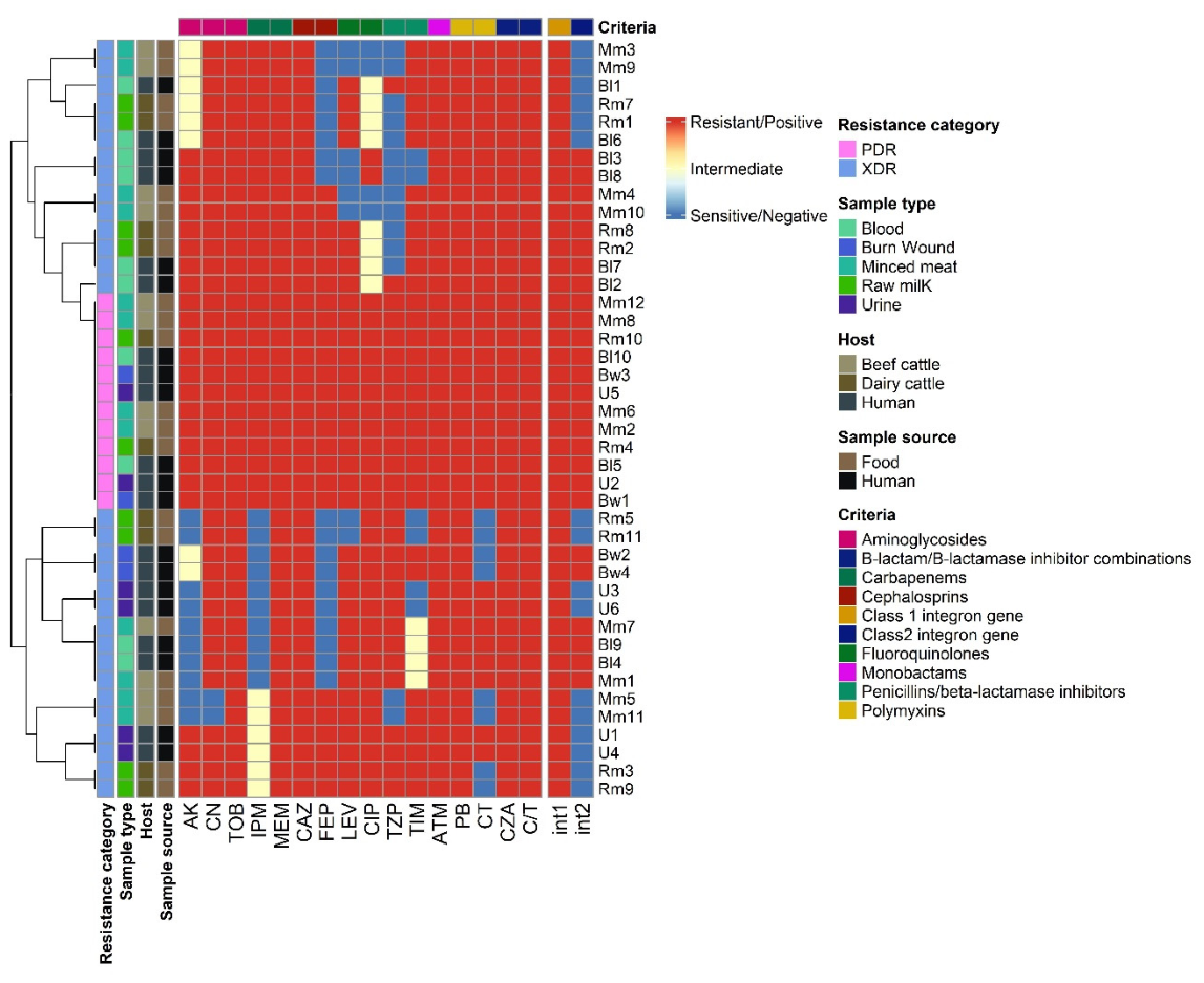 Pathogens 15 00788 g003 Pathogens 15 00788 g003