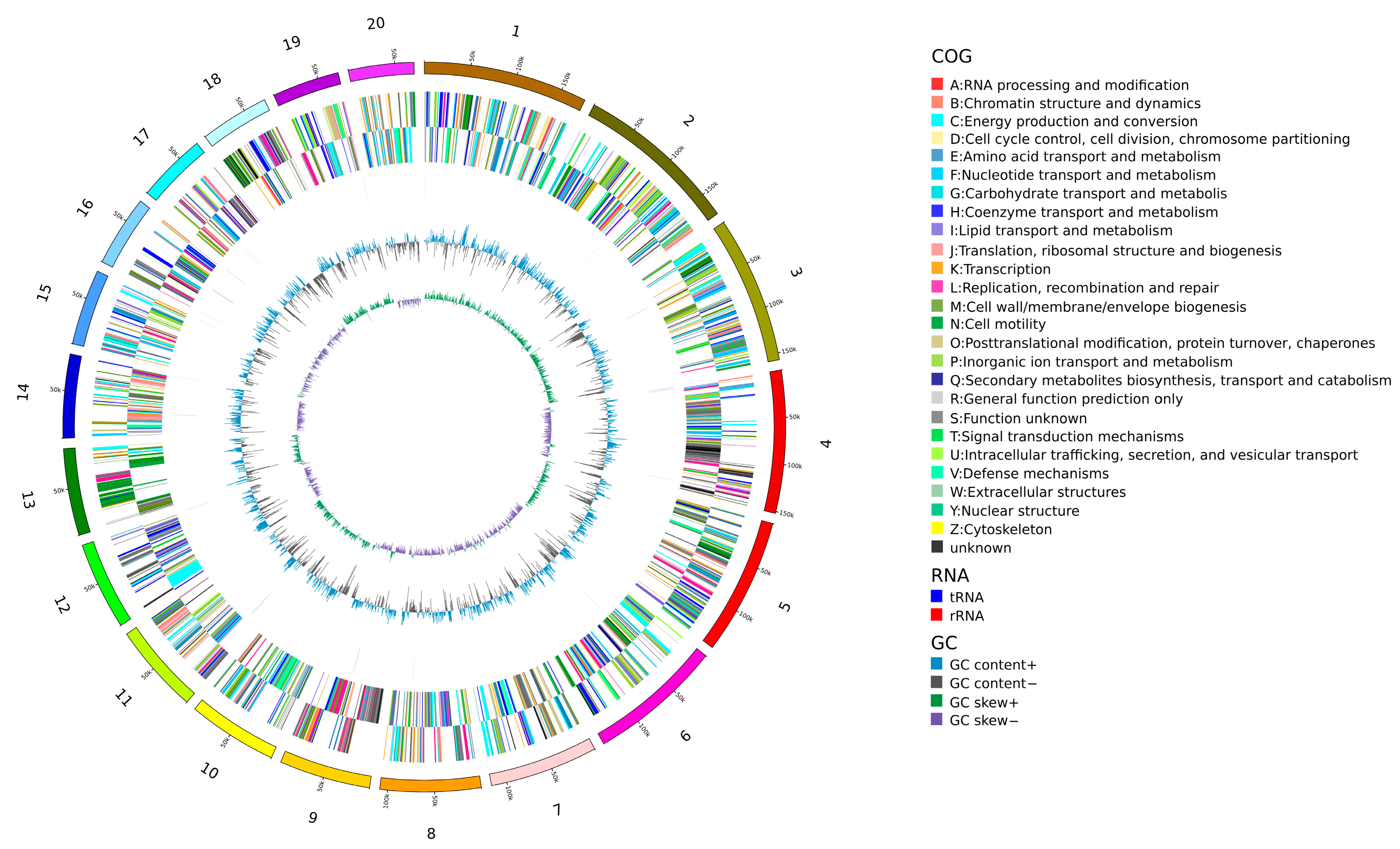 Pathogens 15 00789 g003