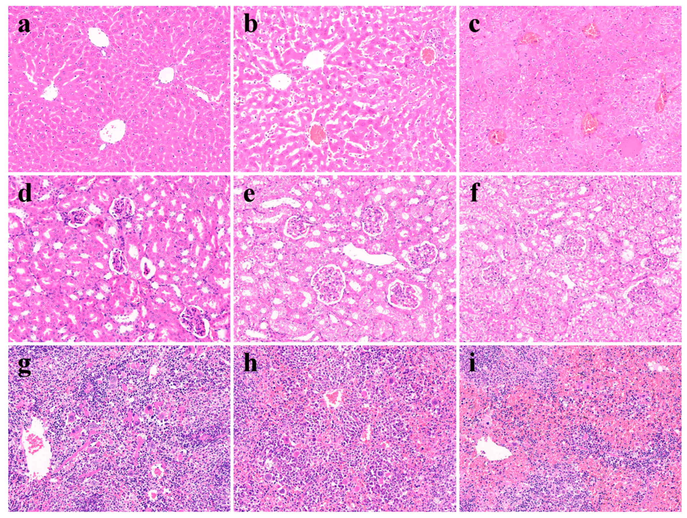 Pathogens 15 00789 g011
