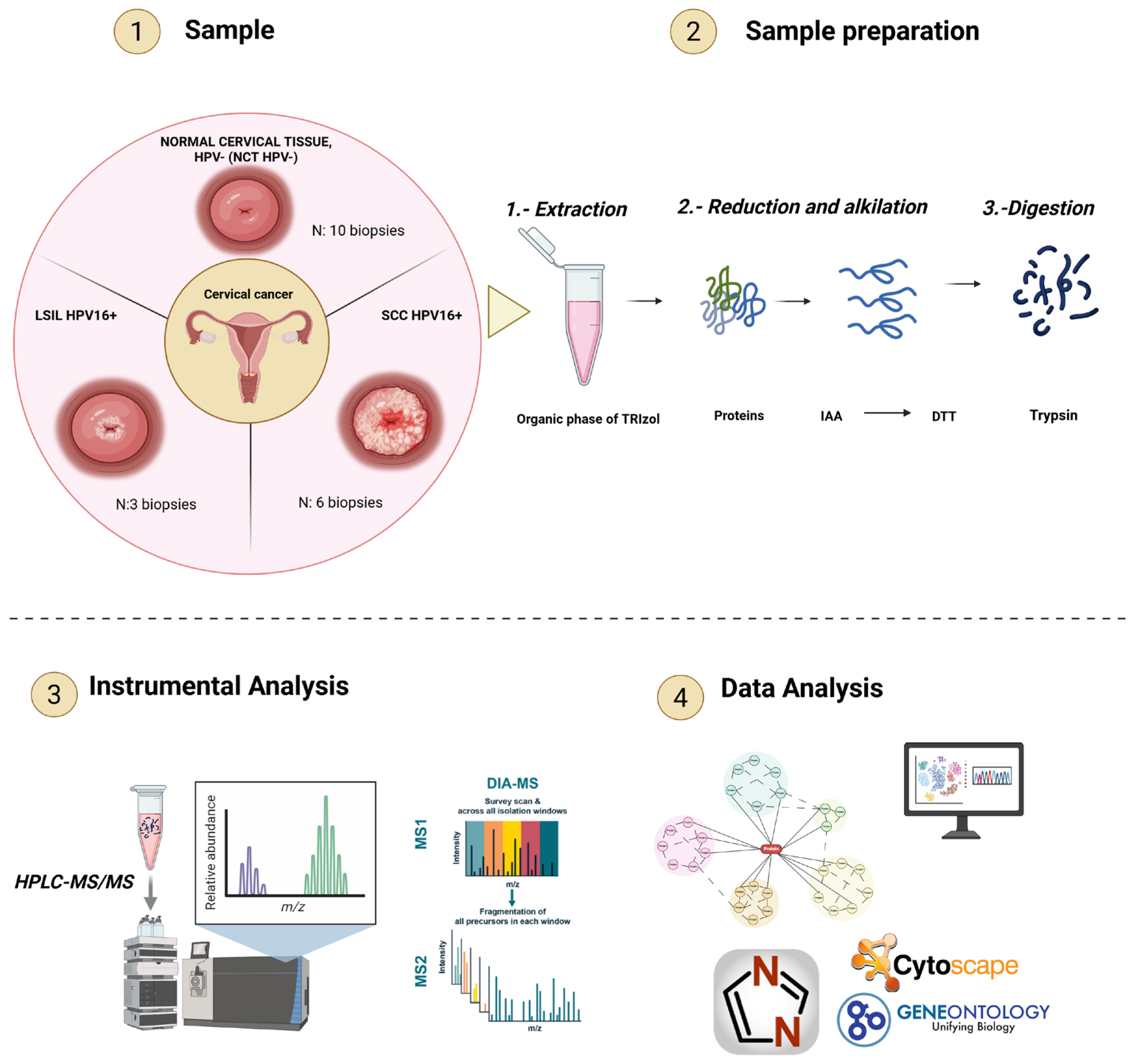 Pathogens 15 00793 g001