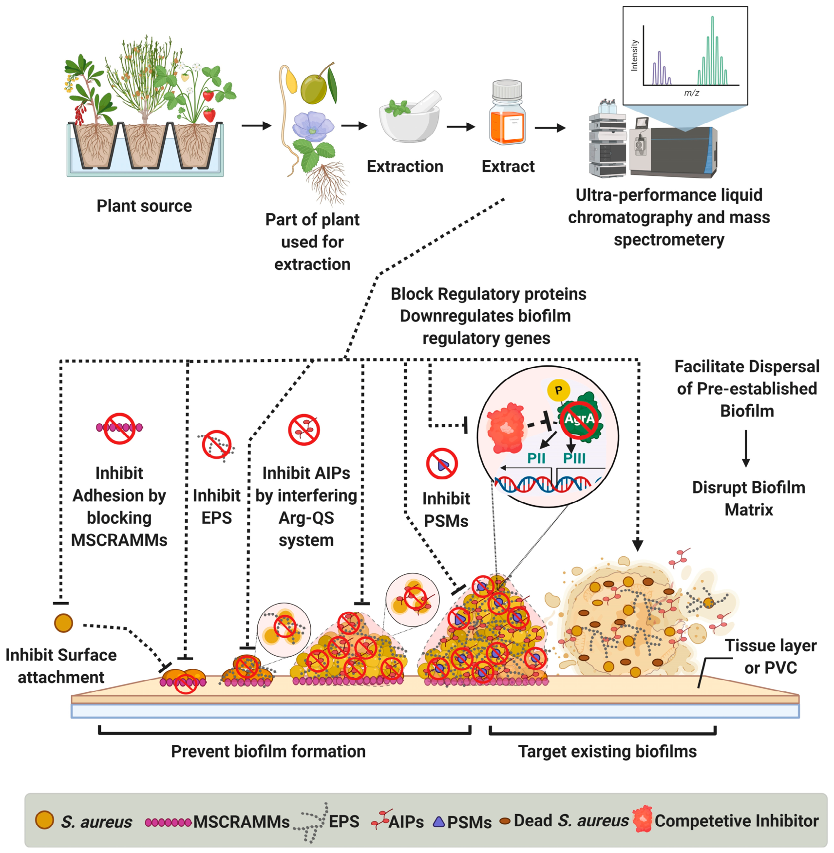 Pathogens 15 00795 g003 Pathogens 15 00795 g003