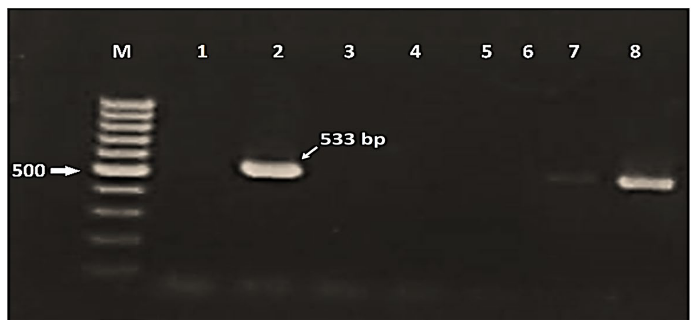 Pathogens 15 00880 g012 Pathogens 15 00880 g012