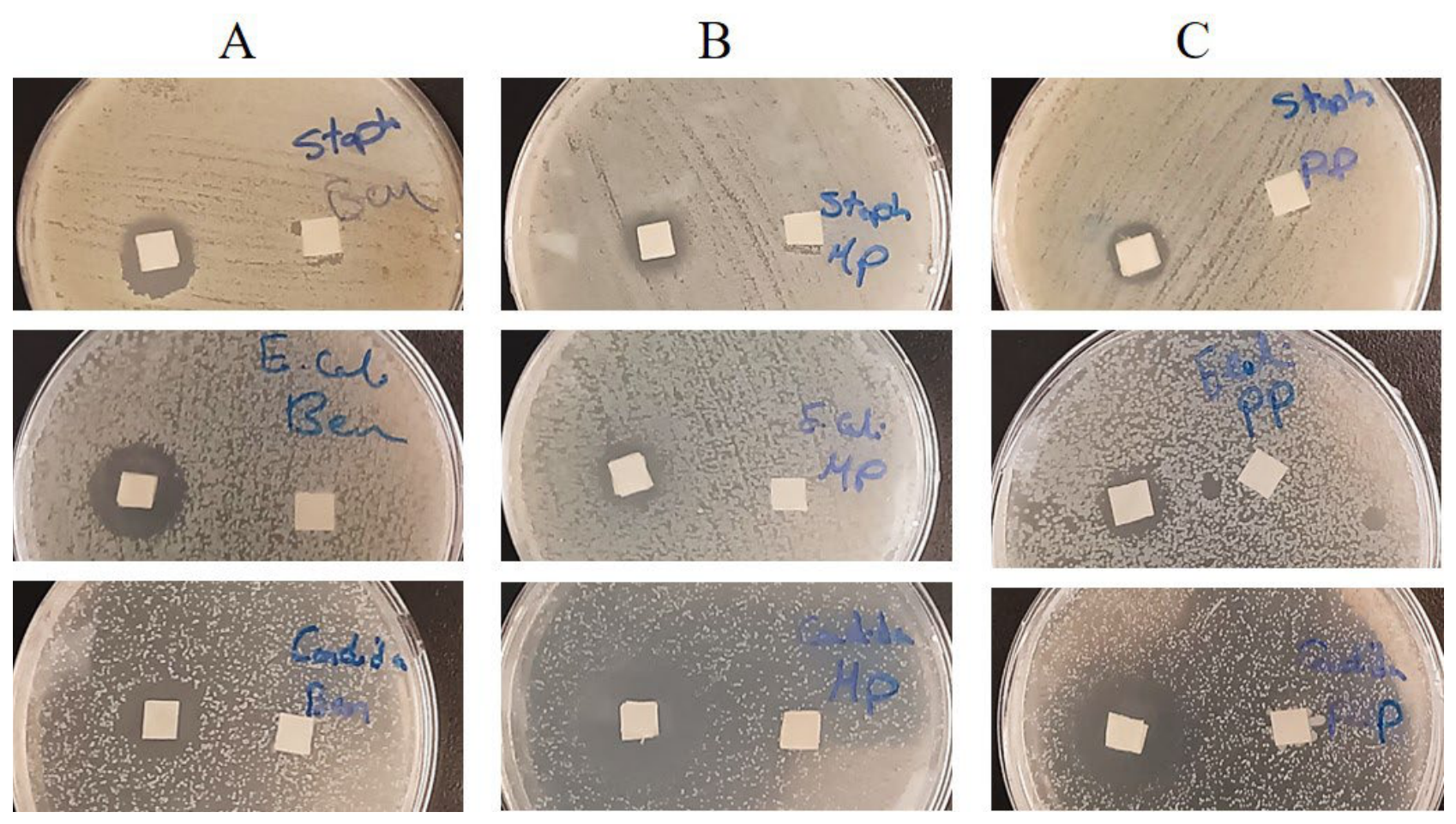 Pathogens 15 00880 g013 Pathogens 15 00880 g013