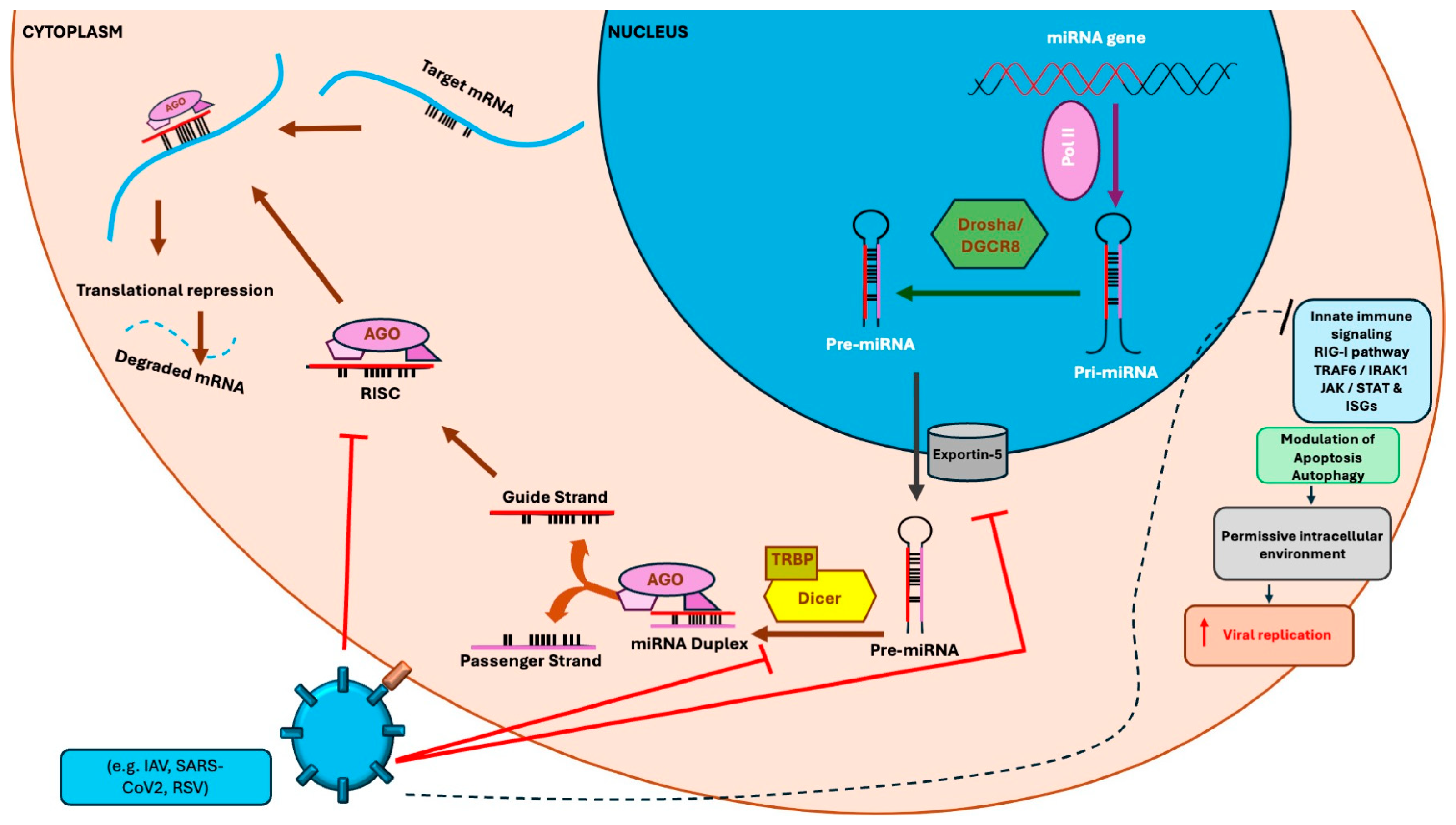 Pathogens 15 00889 g001