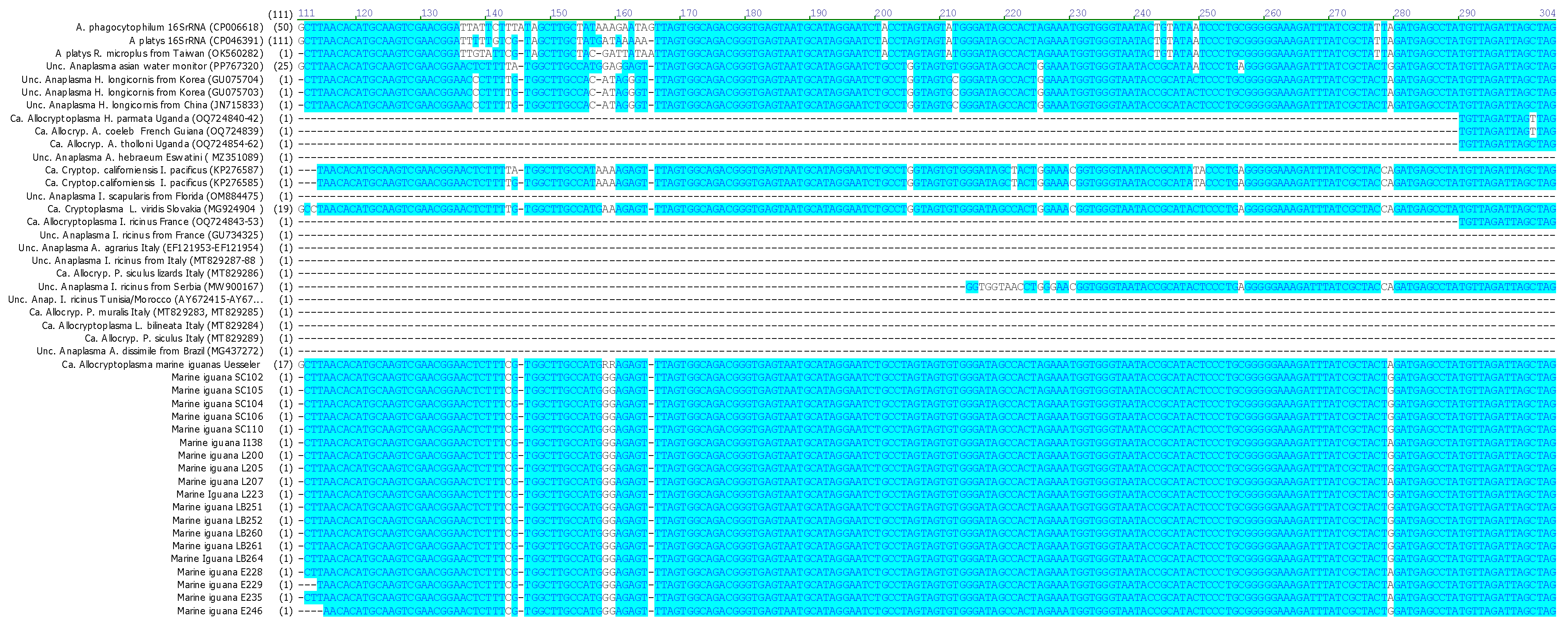 Pathogens 15 00892 g001a