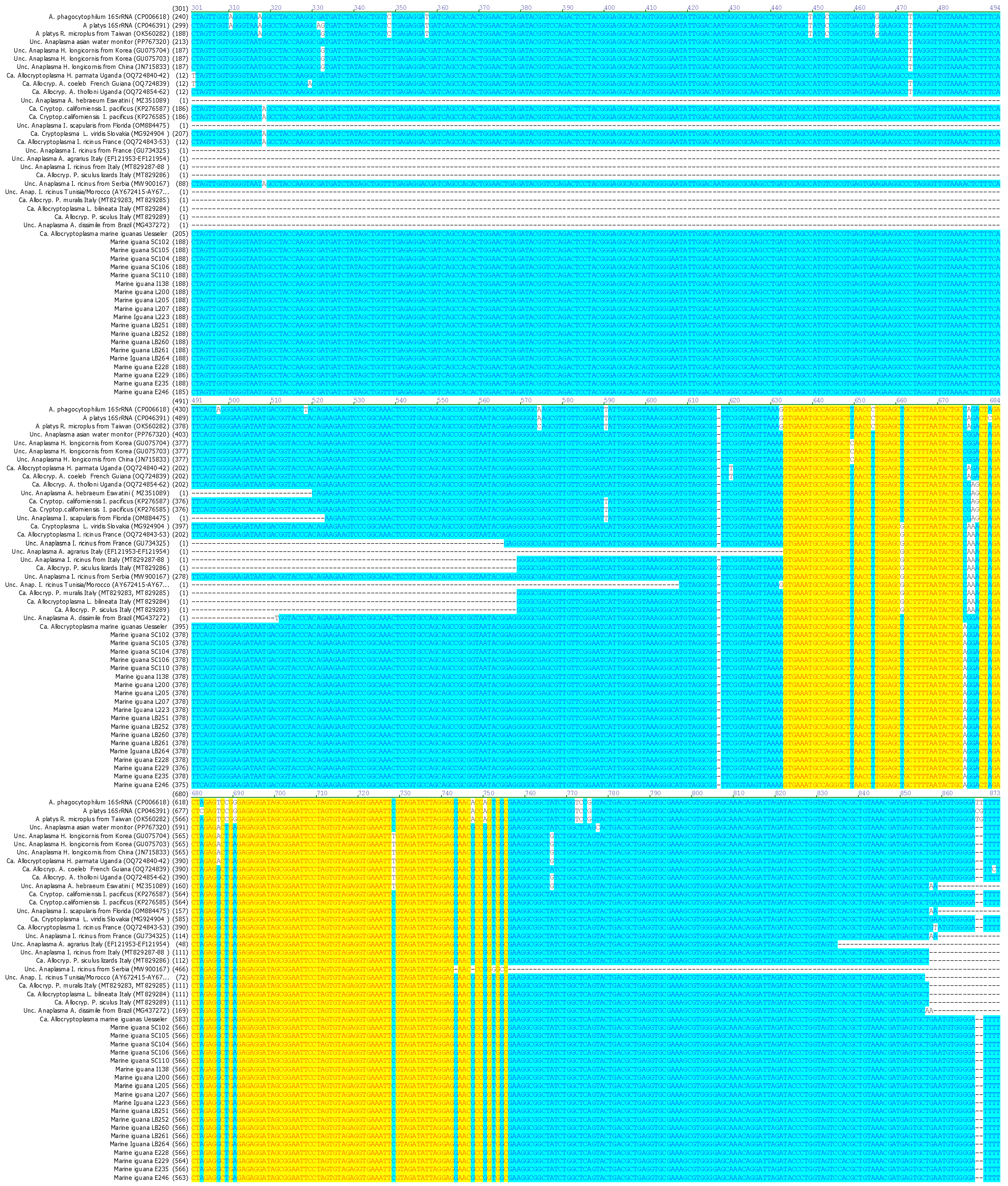 Pathogens 15 00892 g001b