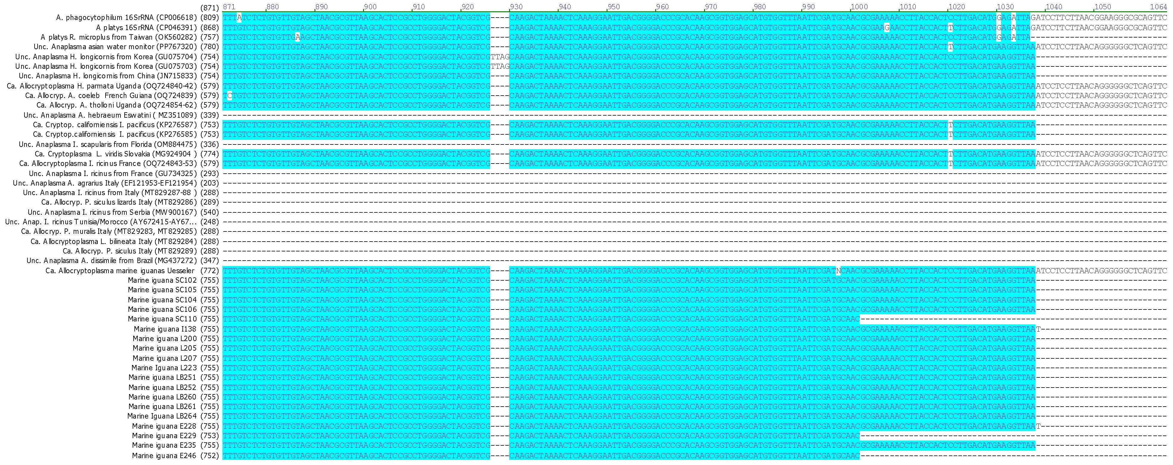 Pathogens 15 00892 g001c