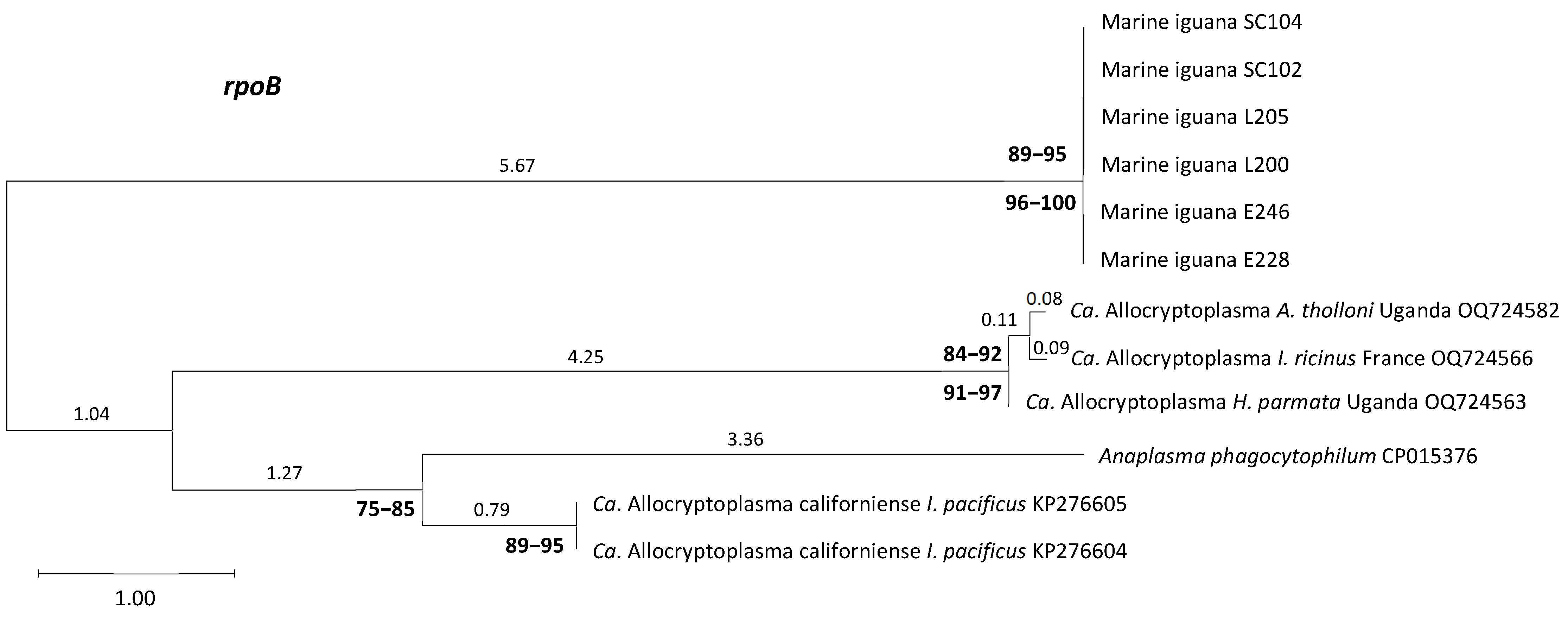 Pathogens 15 00892 g006