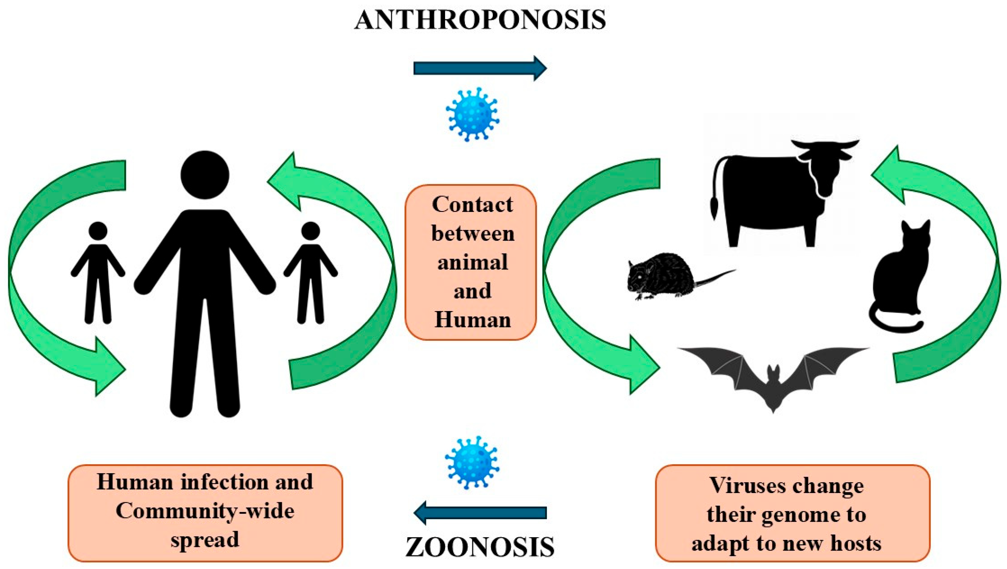 Pathogens 15 00901 g004 Pathogens 15 00901 g004
