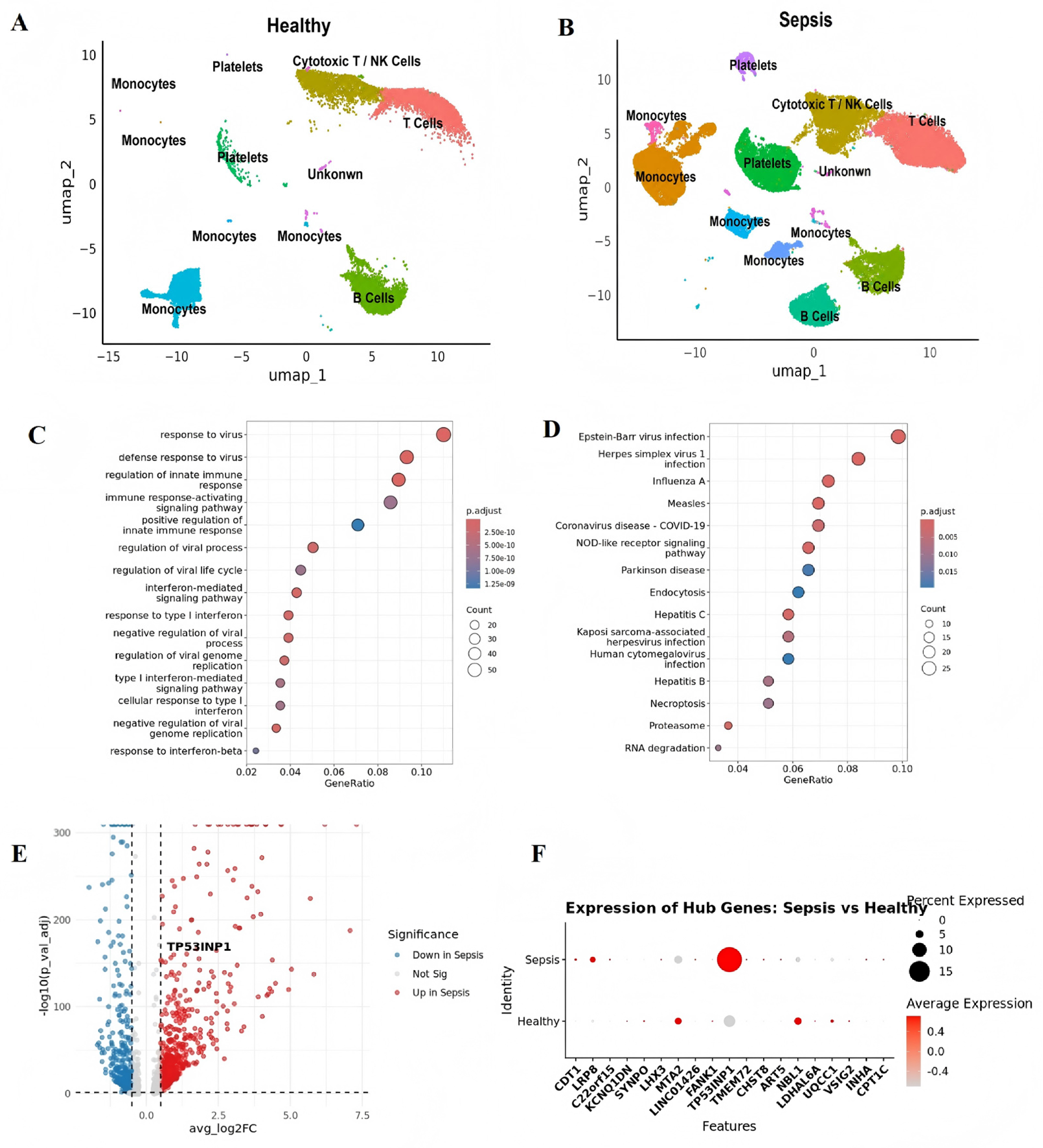 Pathogens 15 00988 g004 Pathogens 15 00988 g004