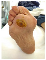 Pathophysiology 27 00003 i002 Pathophysiology 27 00003 i002