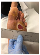 Pathophysiology 27 00003 i006 Pathophysiology 27 00003 i006