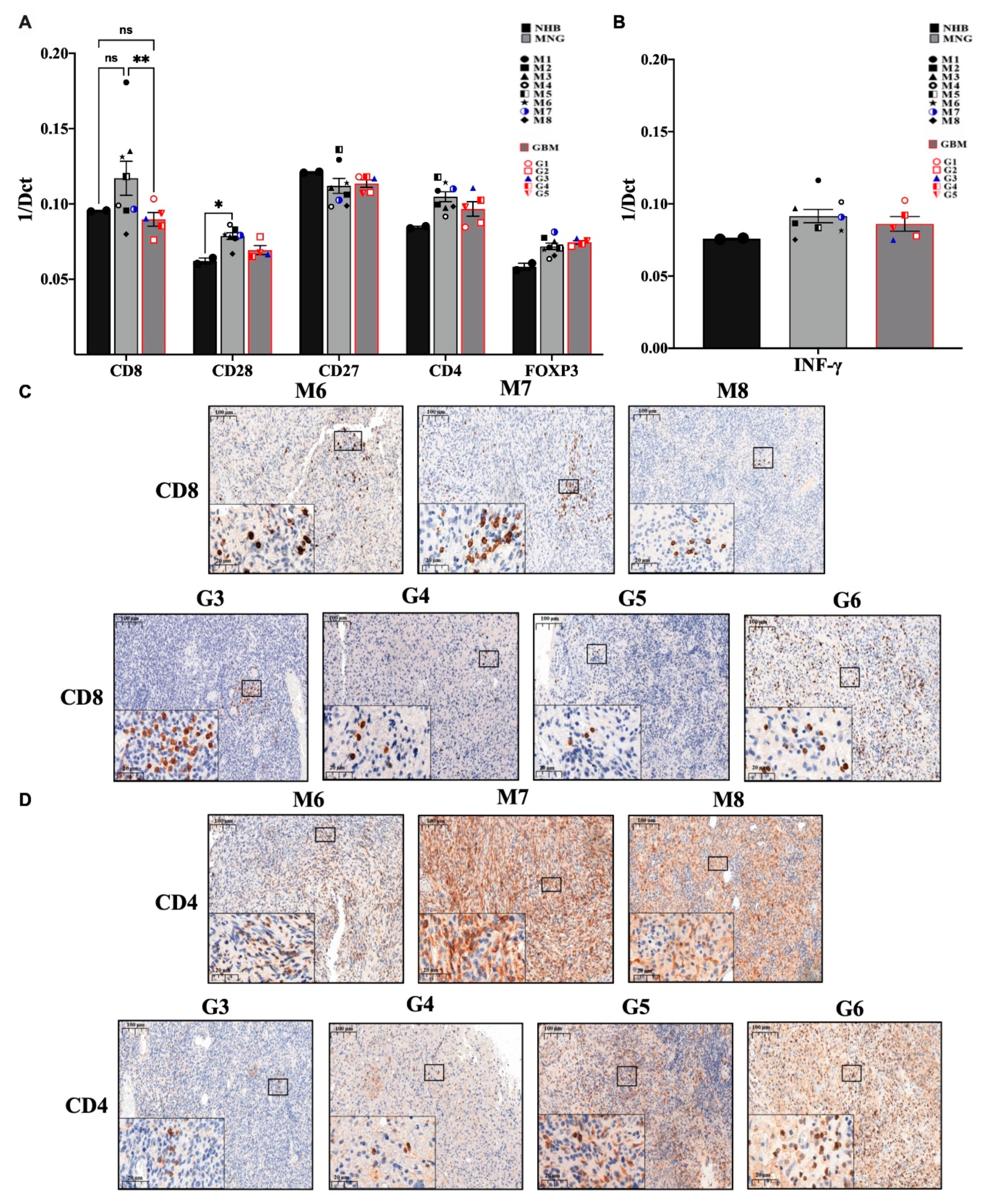 Pathophysiology 28 00004 g002 Pathophysiology 28 00004 g002
